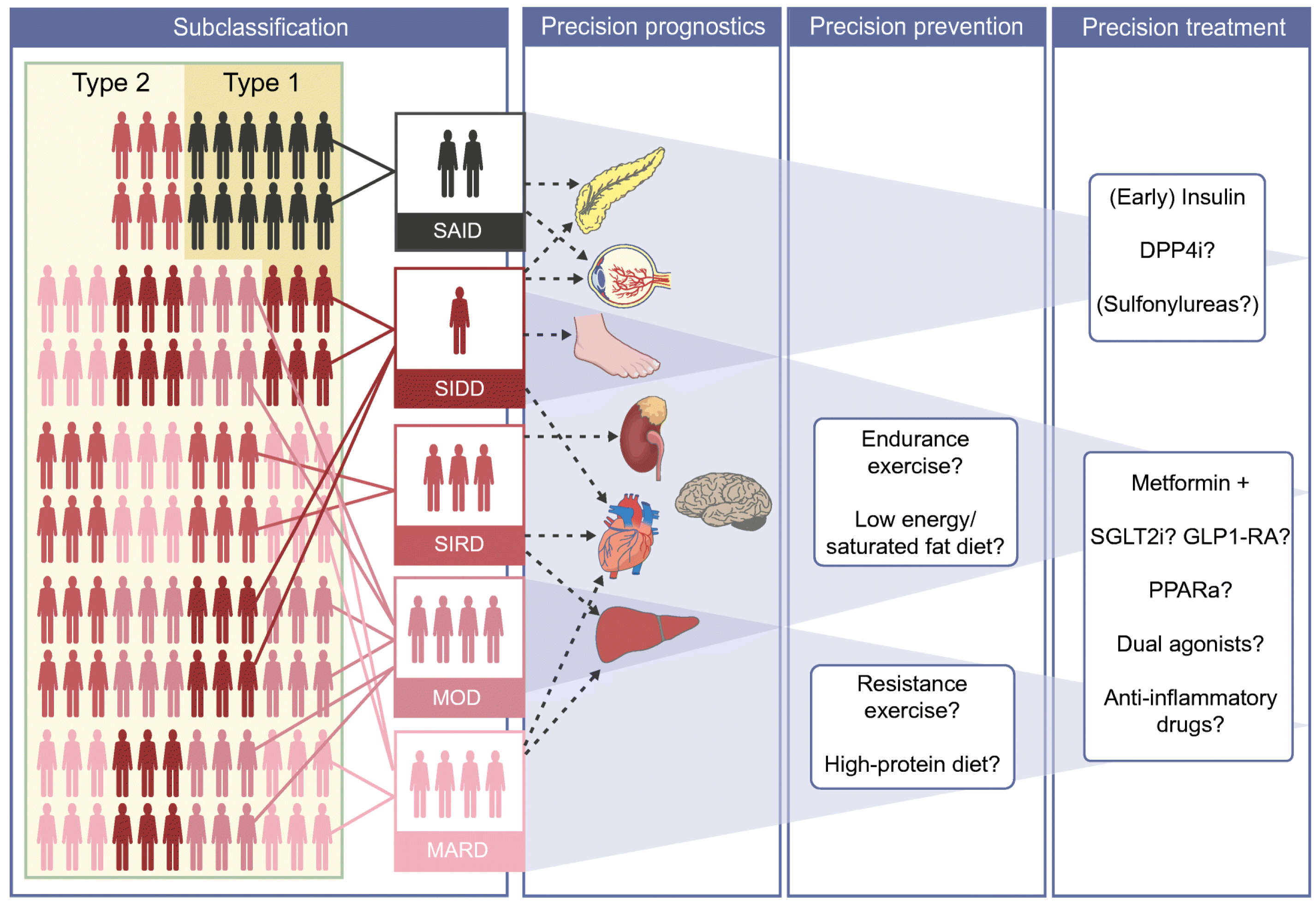 Chemosensors 11 00391 g002