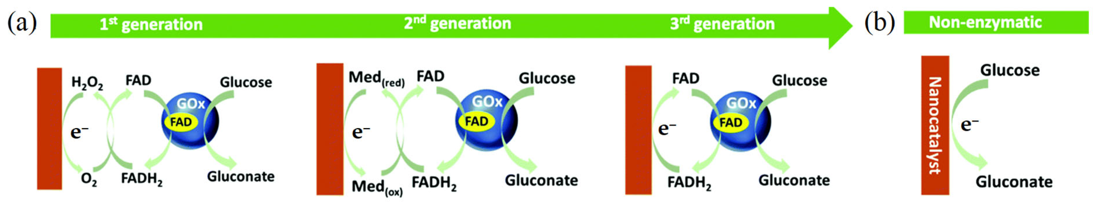 Chemosensors 11 00391 g003