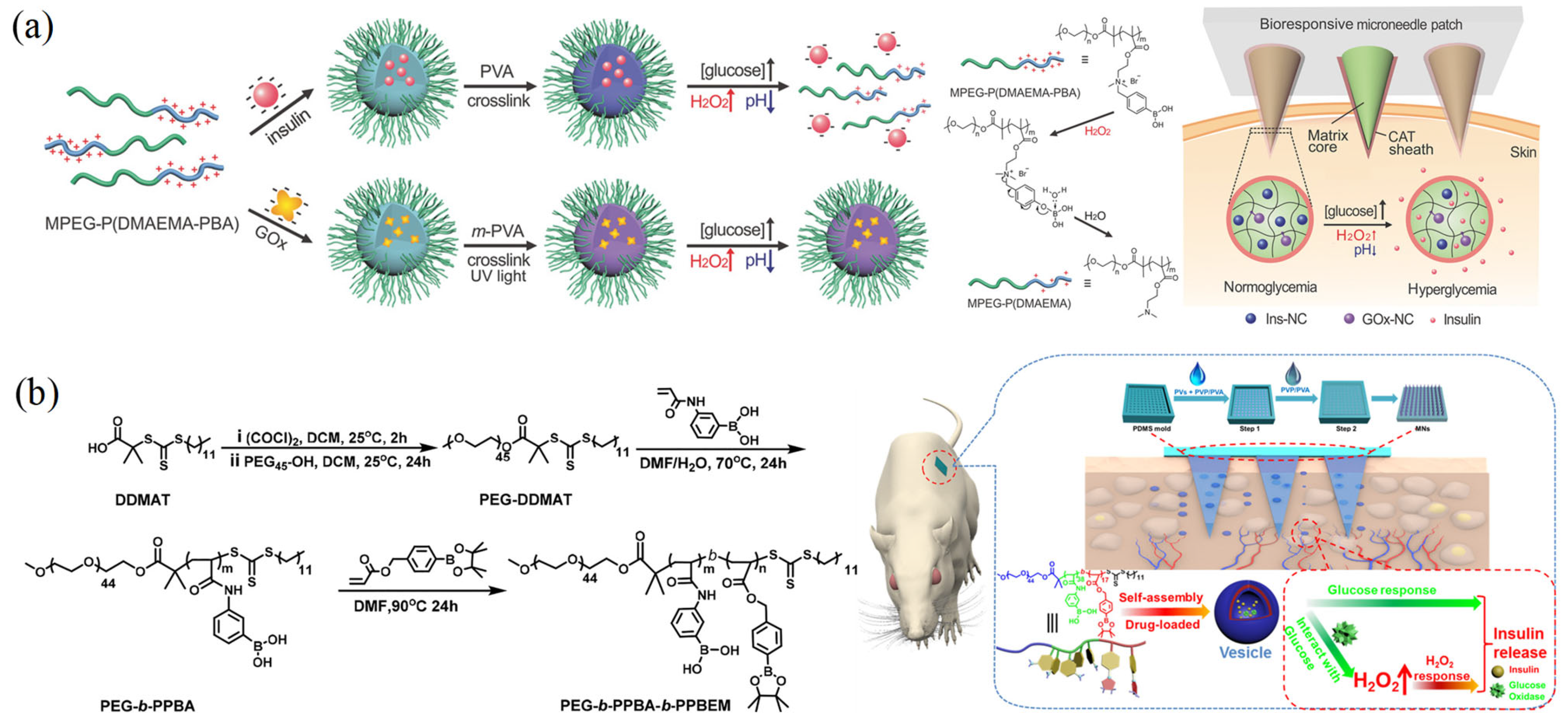 Chemosensors 11 00391 g006