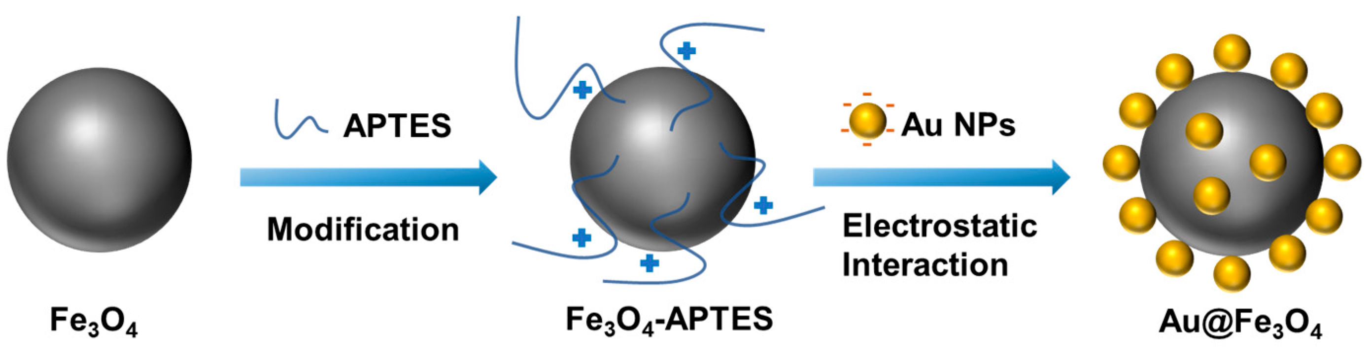 Chemosensors 11 00392 g001 550