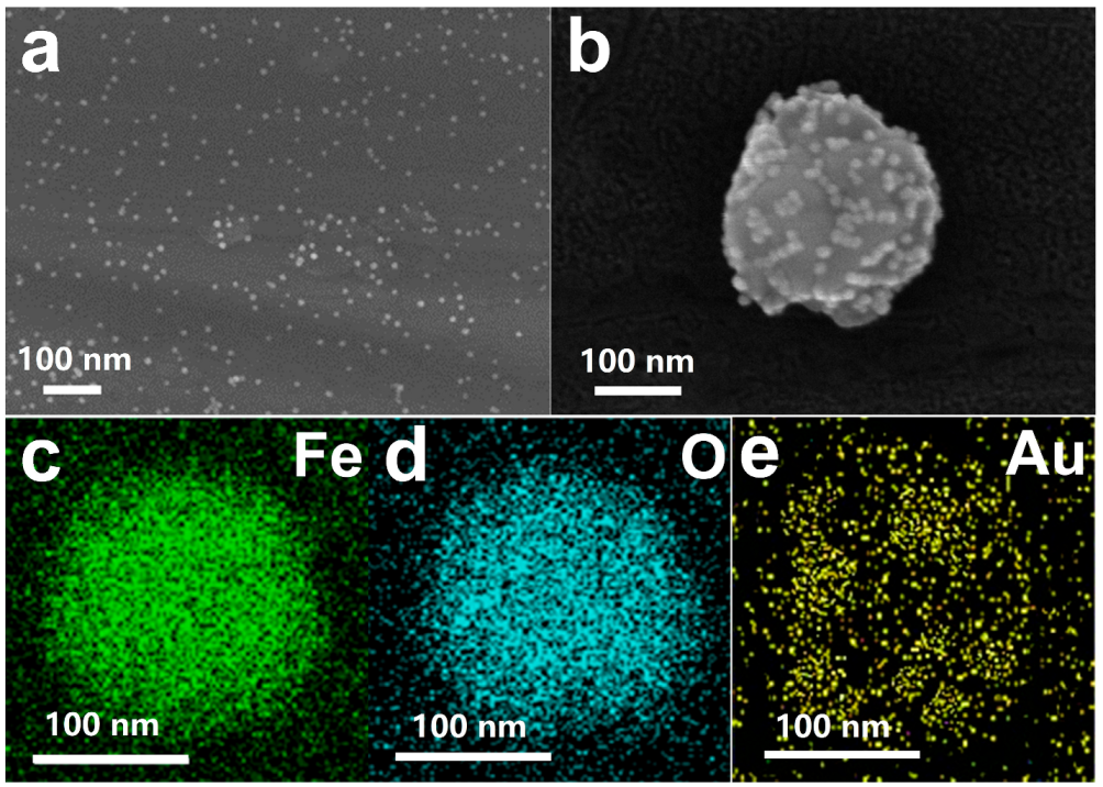 Chemosensors 11 00392 g002 550