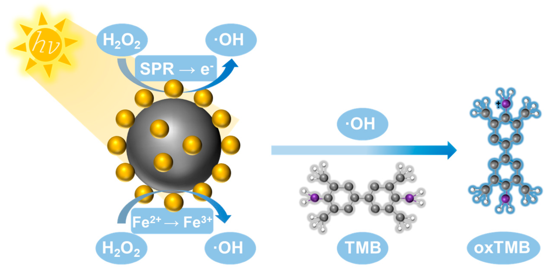 Chemosensors 11 00392 g003 550
