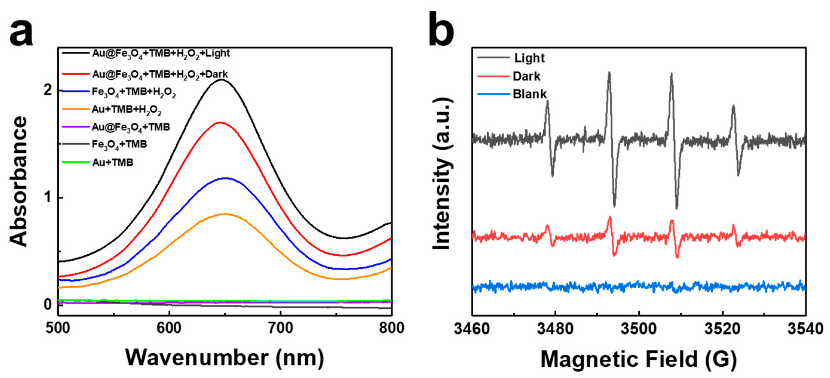 Chemosensors 11 00392 g004 550