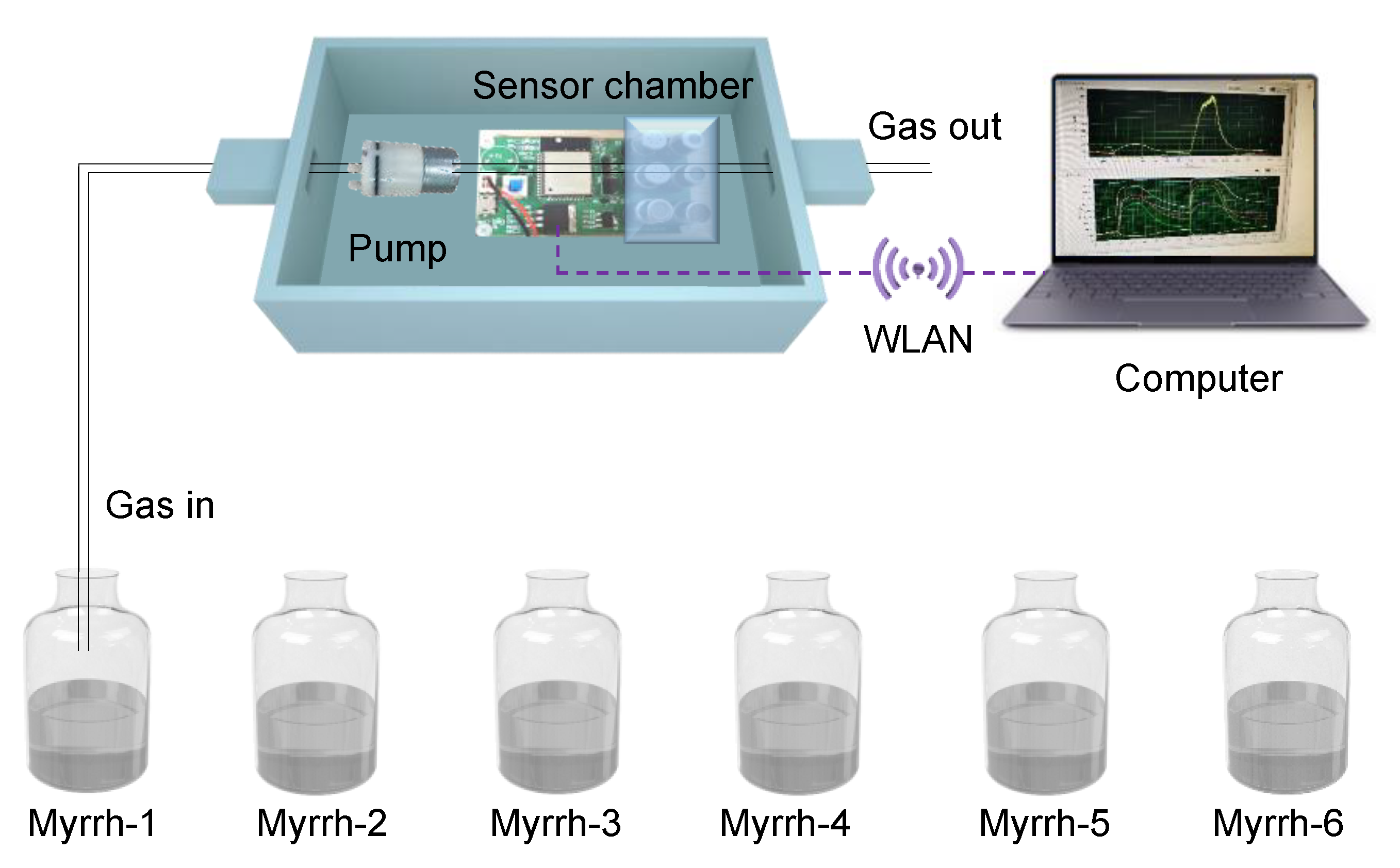 Chemosensors 11 00396 g002 Chemosensors 11 00396 g002