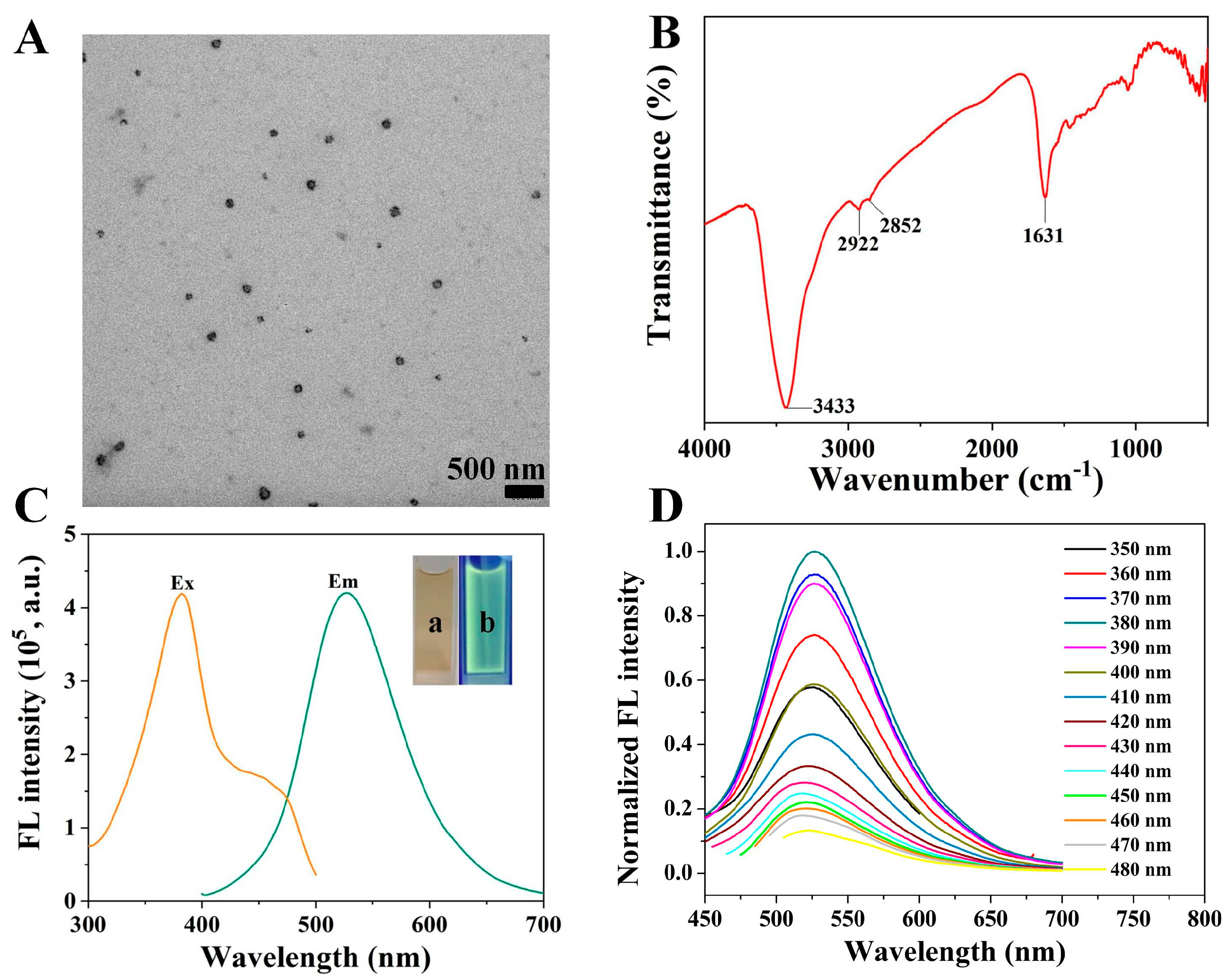 Chemosensors 11 00398 g001