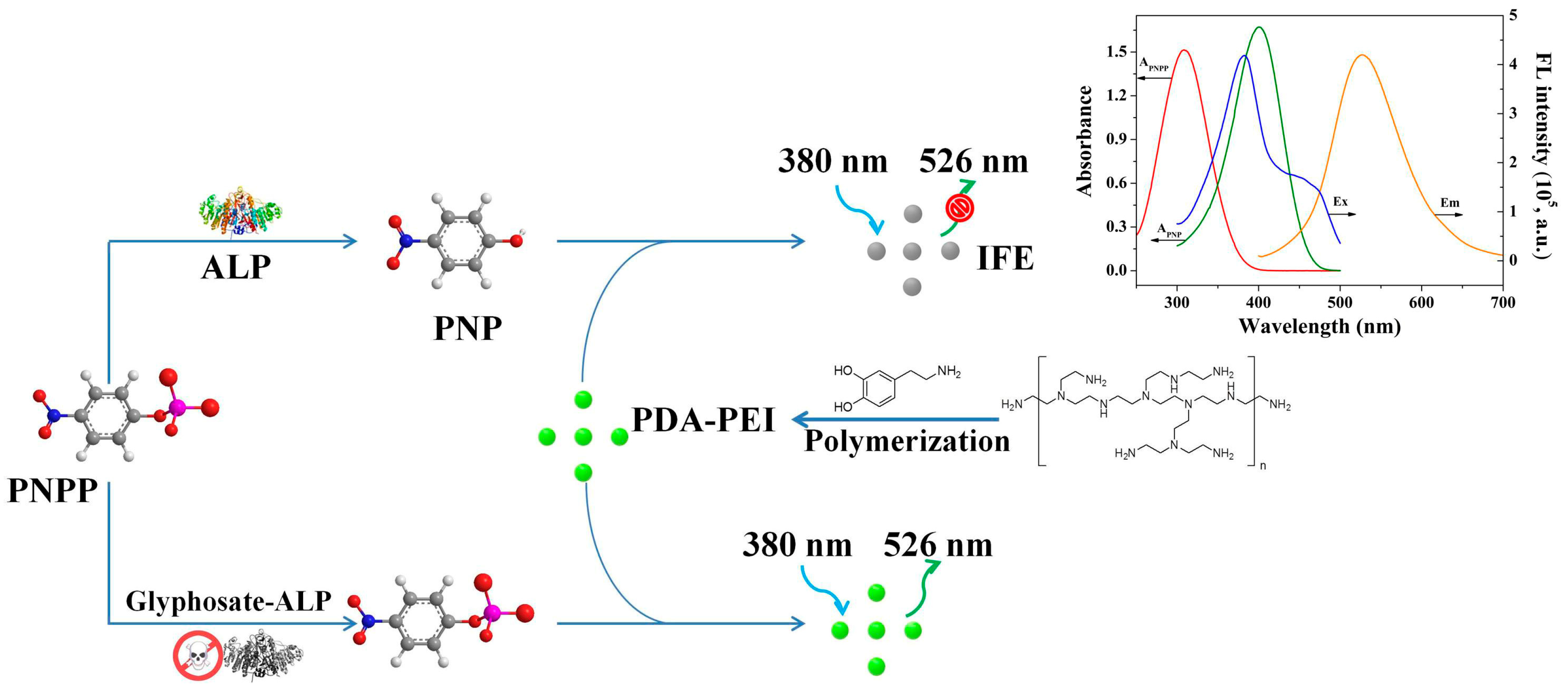 Chemosensors 11 00398 sch001