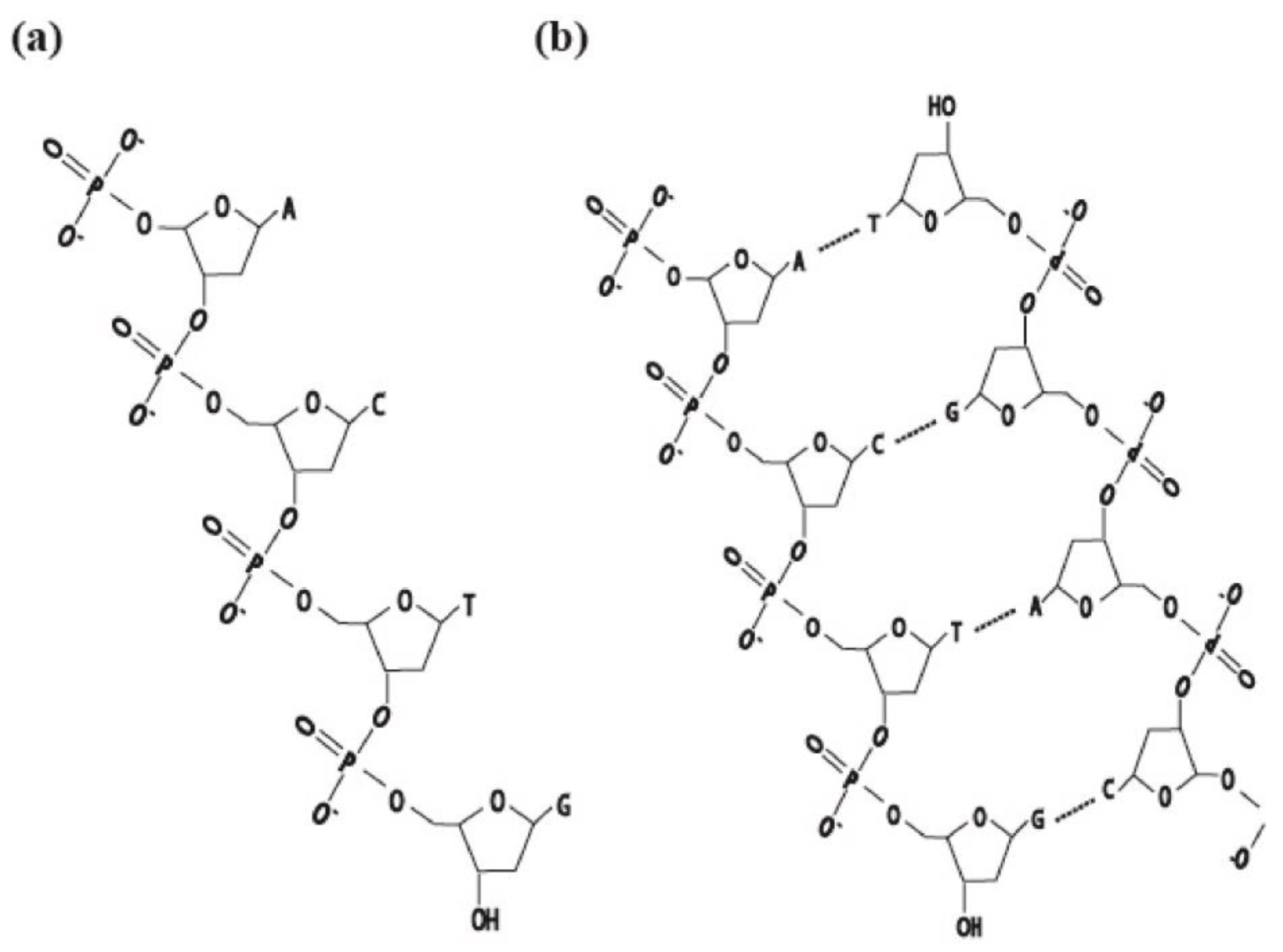 Chemosensors 11 00399 g002 Chemosensors 11 00399 g002