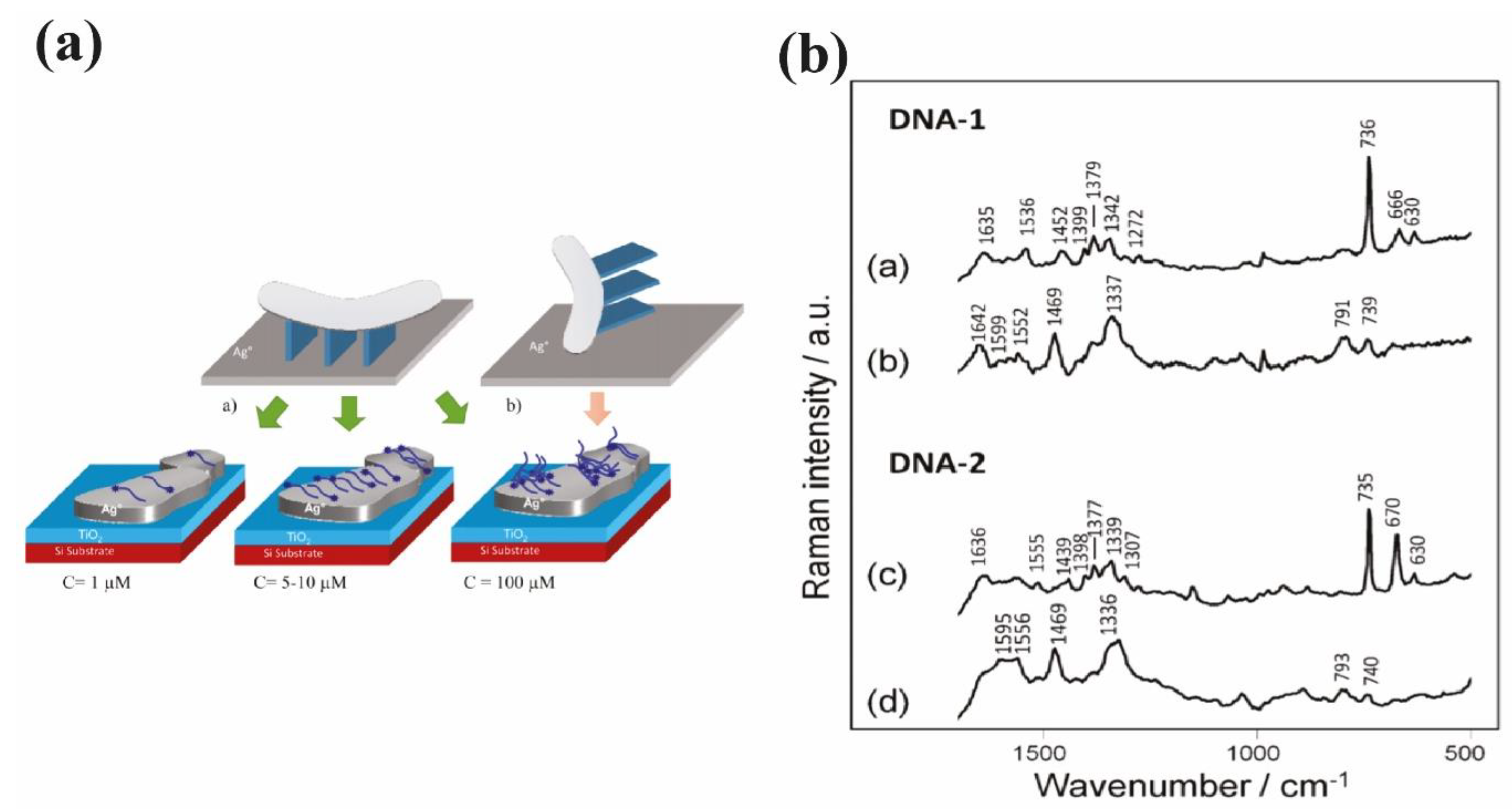 Chemosensors 11 00399 g014 Chemosensors 11 00399 g014