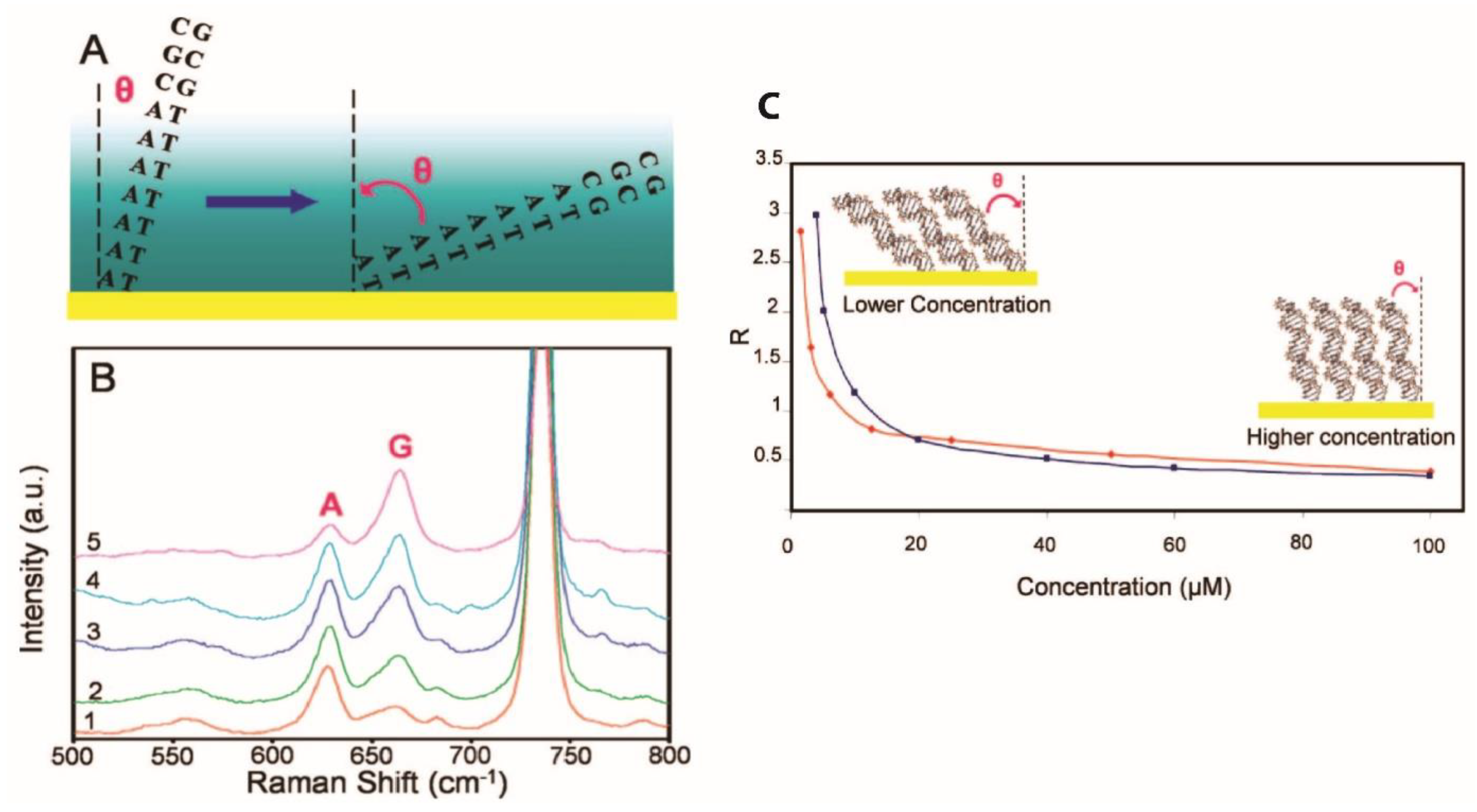 Chemosensors 11 00399 g016 Chemosensors 11 00399 g016