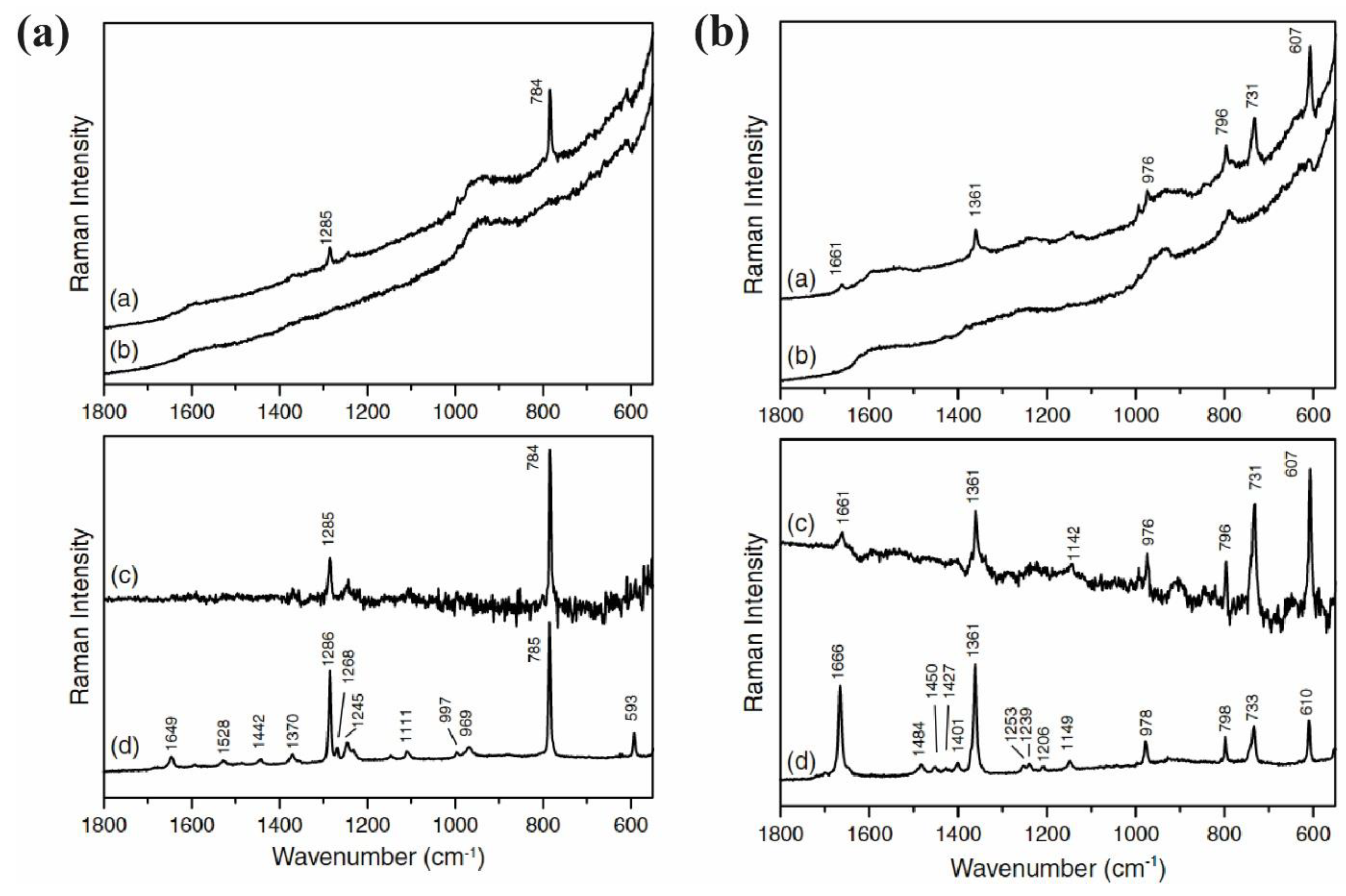 Chemosensors 11 00399 g021 Chemosensors 11 00399 g021