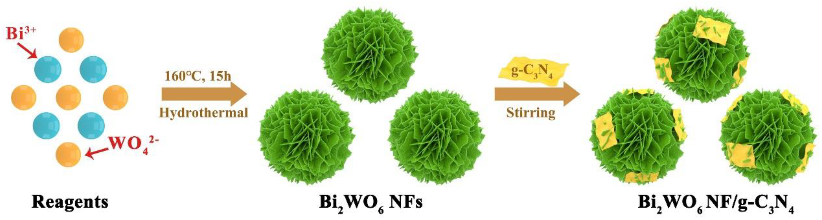 Chemosensors 11 00404 g001