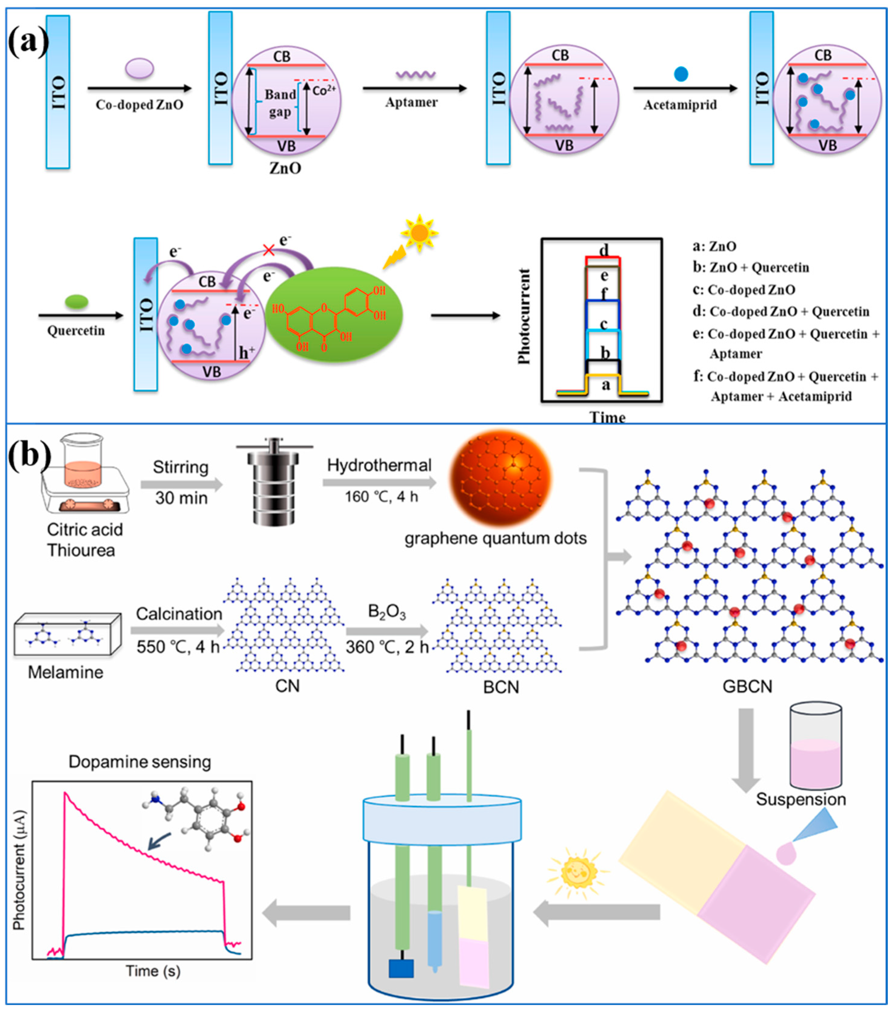 Chemosensors 11 00412 g002