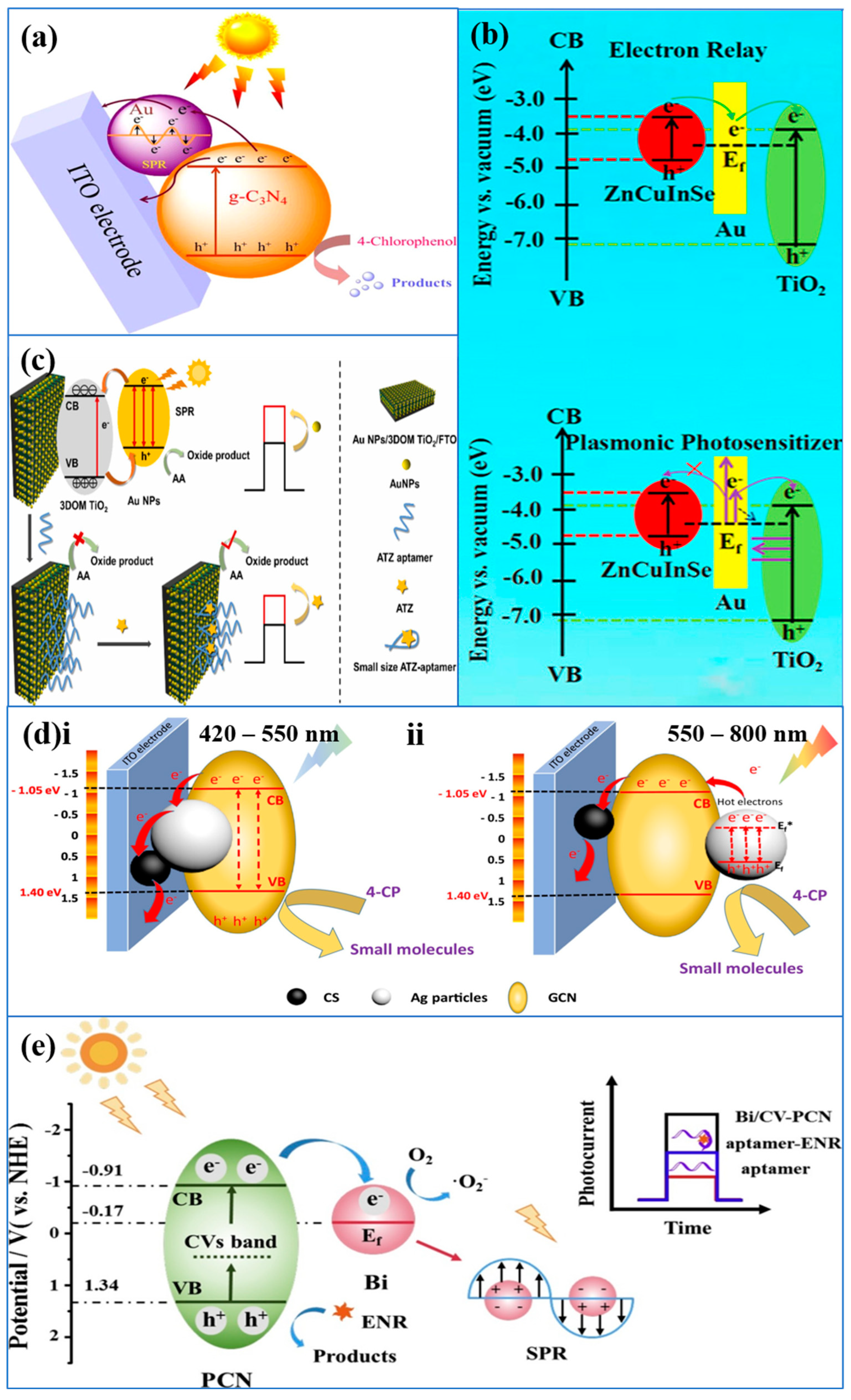 Chemosensors 11 00412 g006