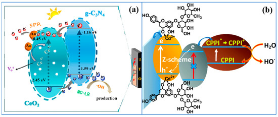 Recent Advances in Photoelectrochemical Sensors for Analysis