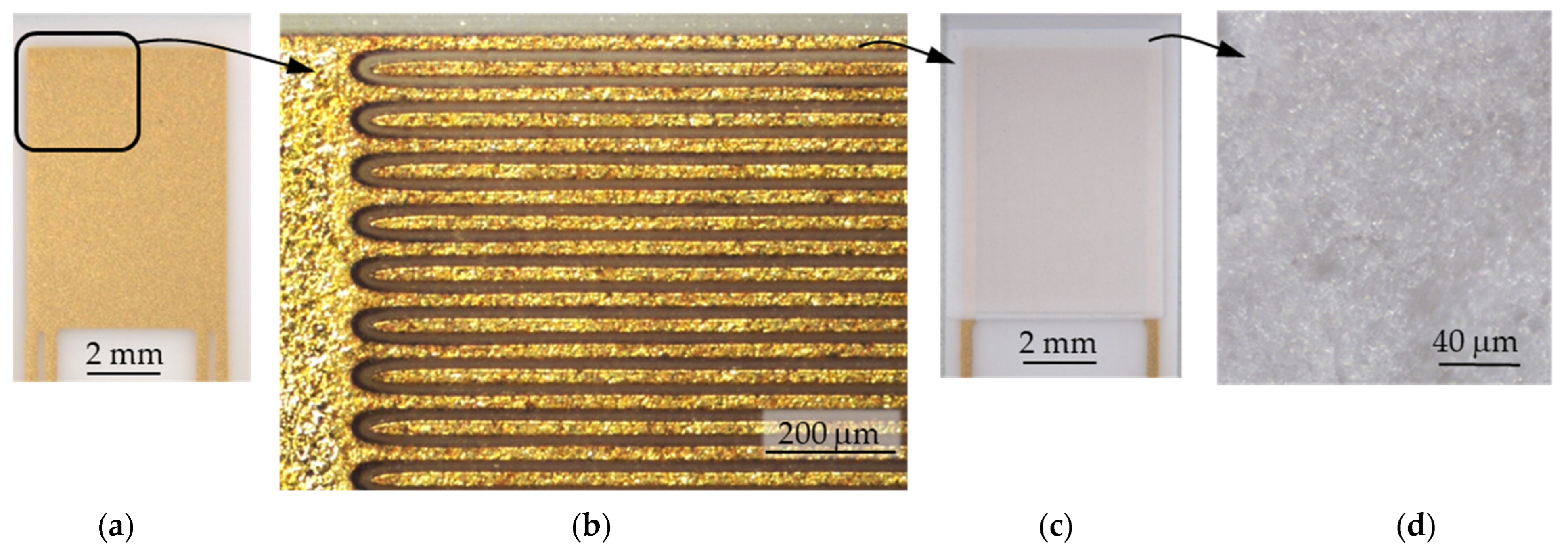 Chemosensors 11 00413 g002 Chemosensors 11 00413 g002