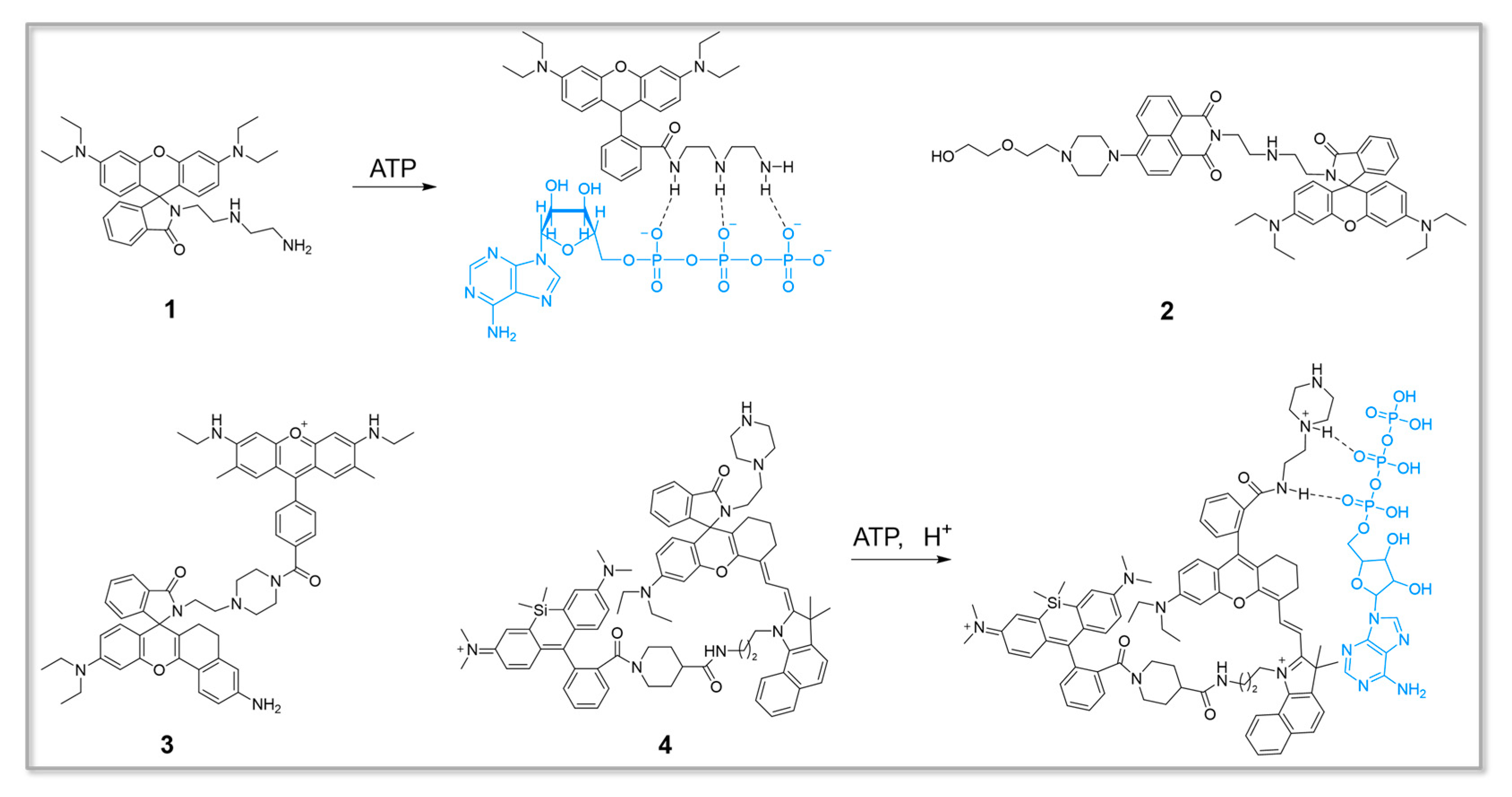 Chemosensors 11 00417 g002 Chemosensors 11 00417 g002