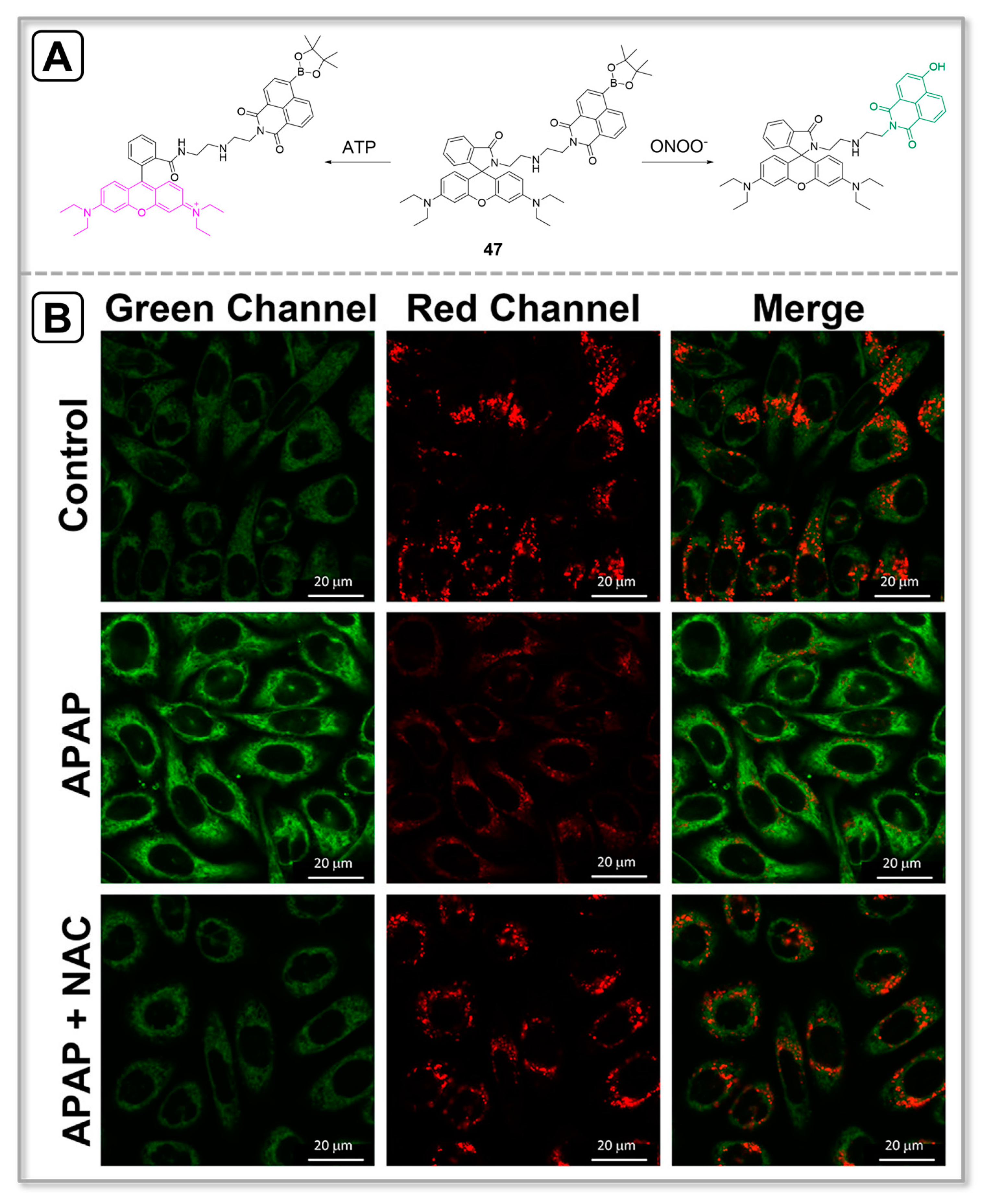 Chemosensors 11 00417 g016 Chemosensors 11 00417 g016