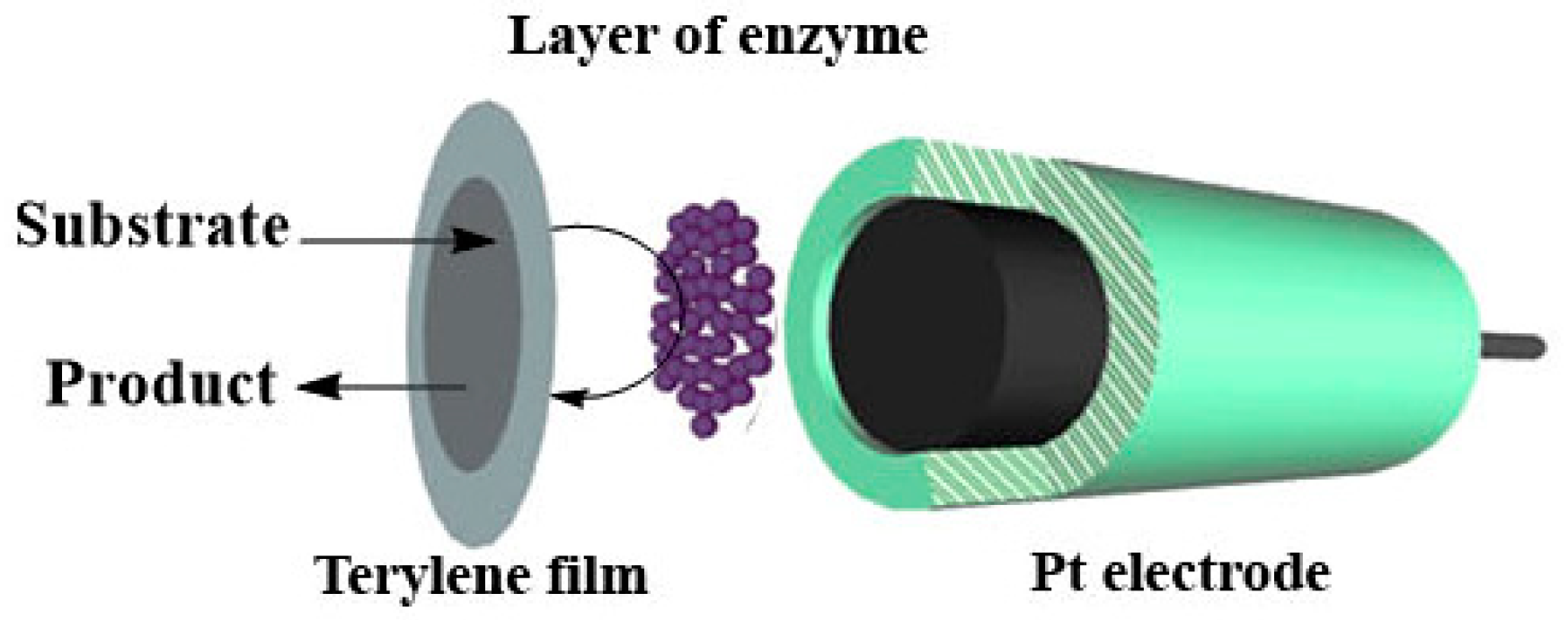 Chemosensors 11 00418 g001