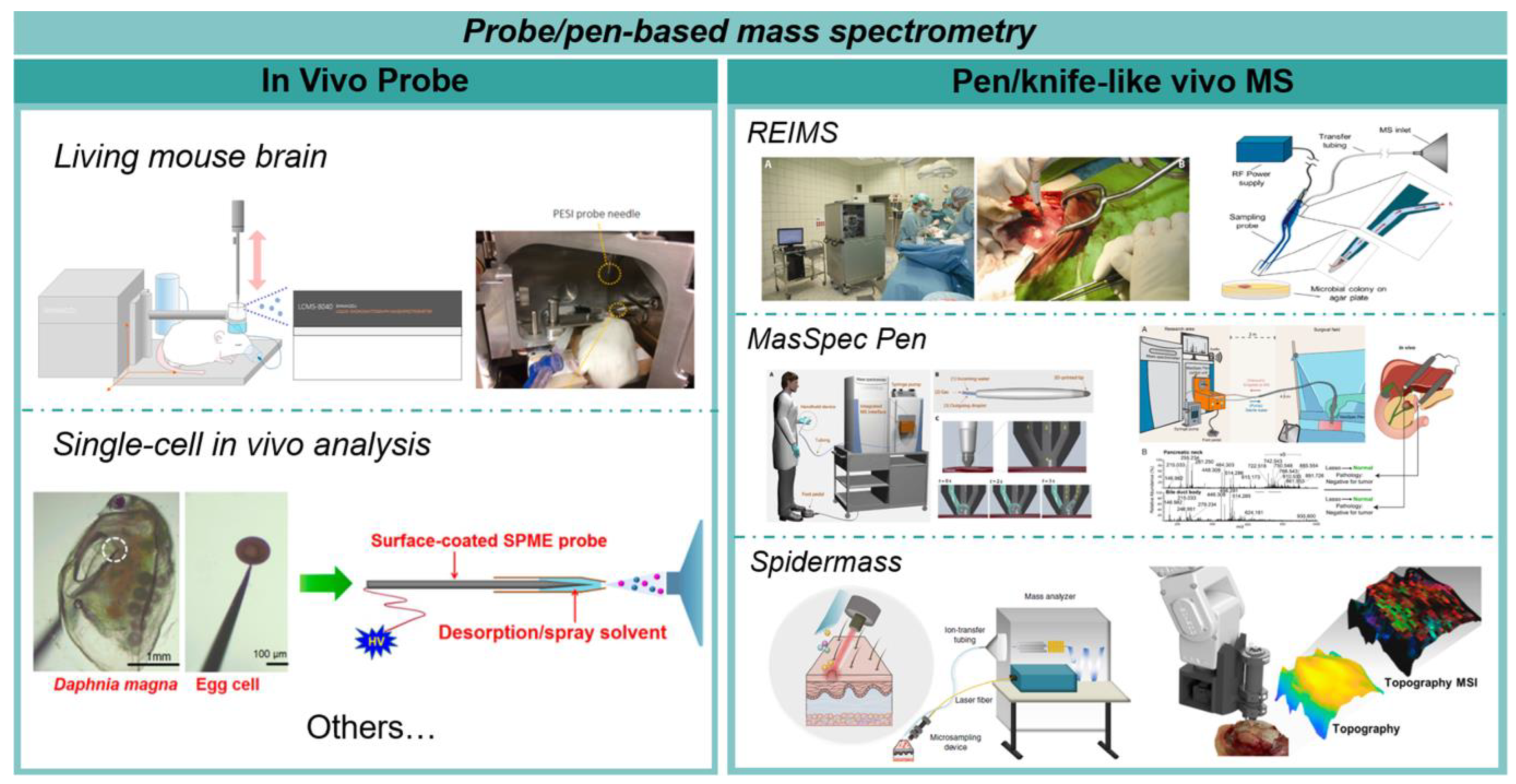 Chemosensors 11 00419 g003 Chemosensors 11 00419 g003