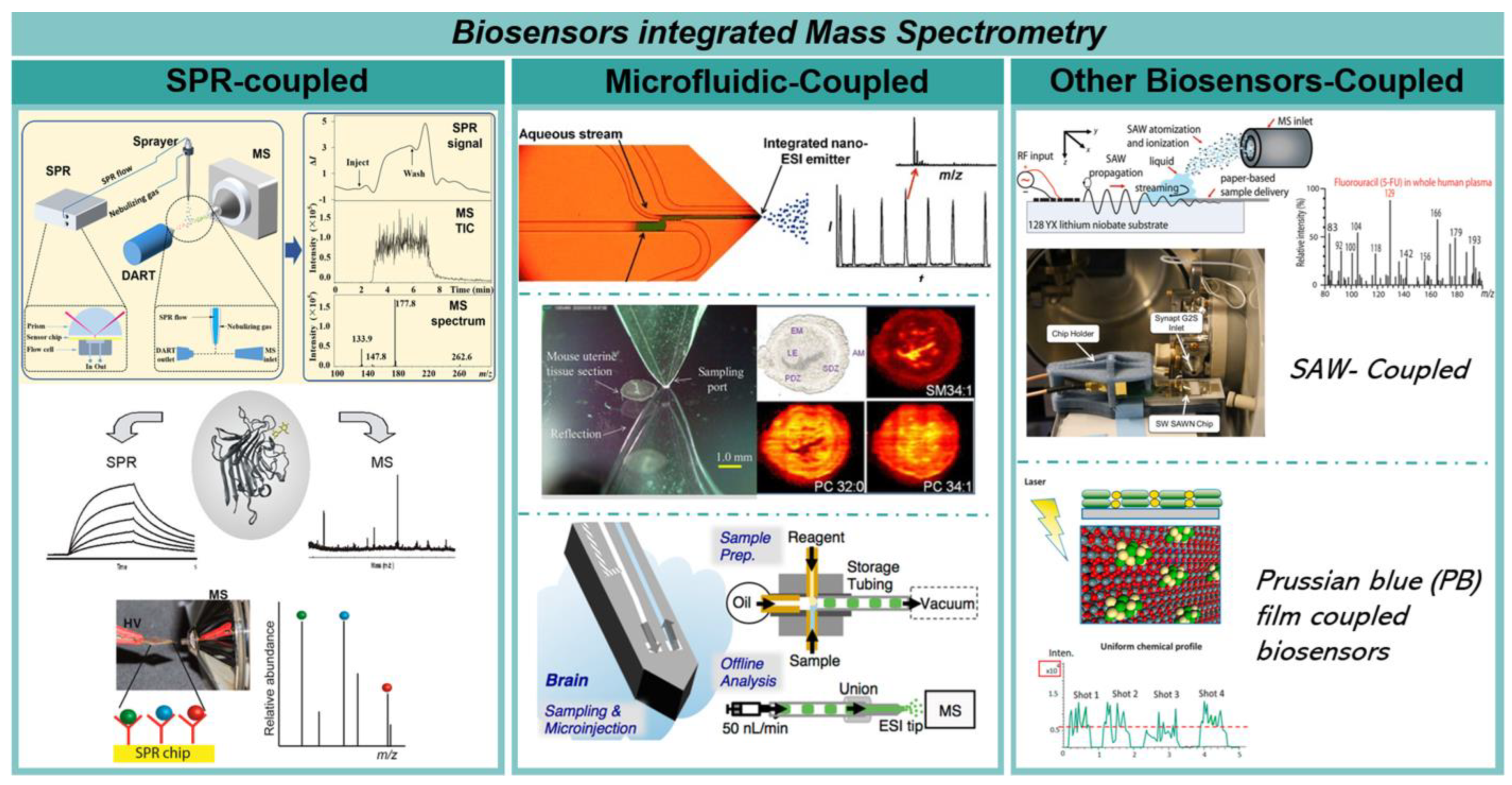 Chemosensors 11 00419 g004 Chemosensors 11 00419 g004