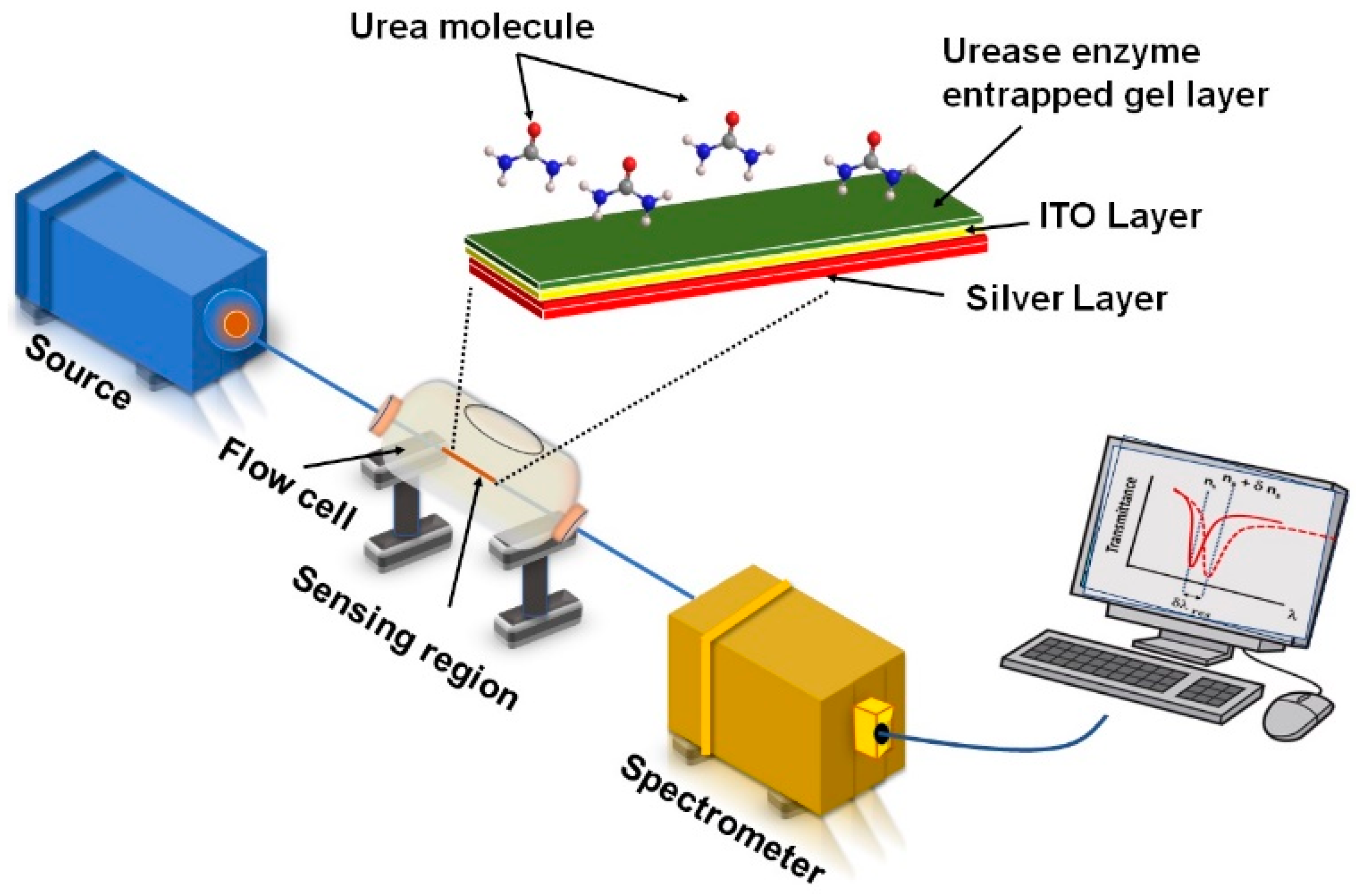 Chemosensors 11 00421 g002
