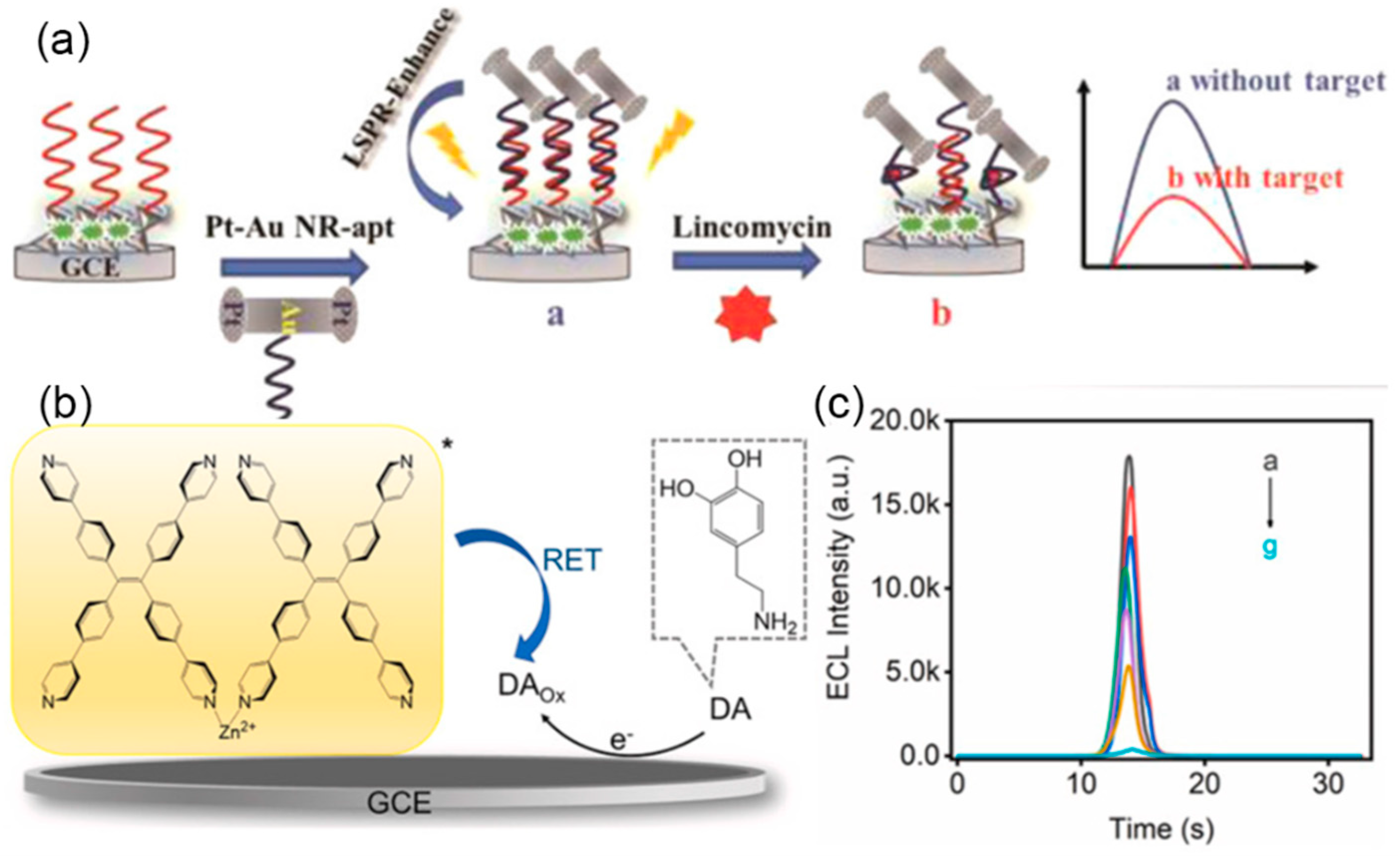 Chemosensors 11 00422 g011 Chemosensors 11 00422 g011