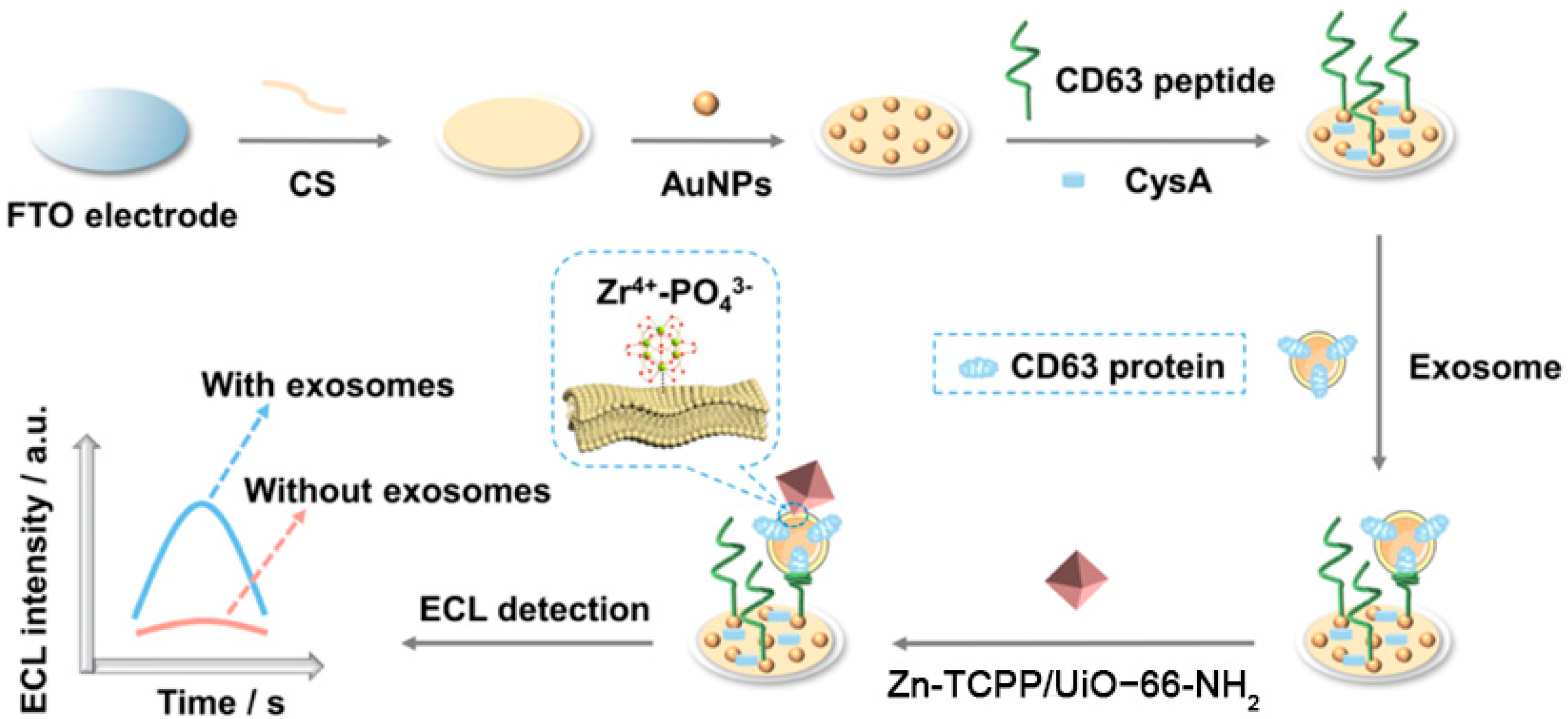 Chemosensors 11 00422 g012 Chemosensors 11 00422 g012