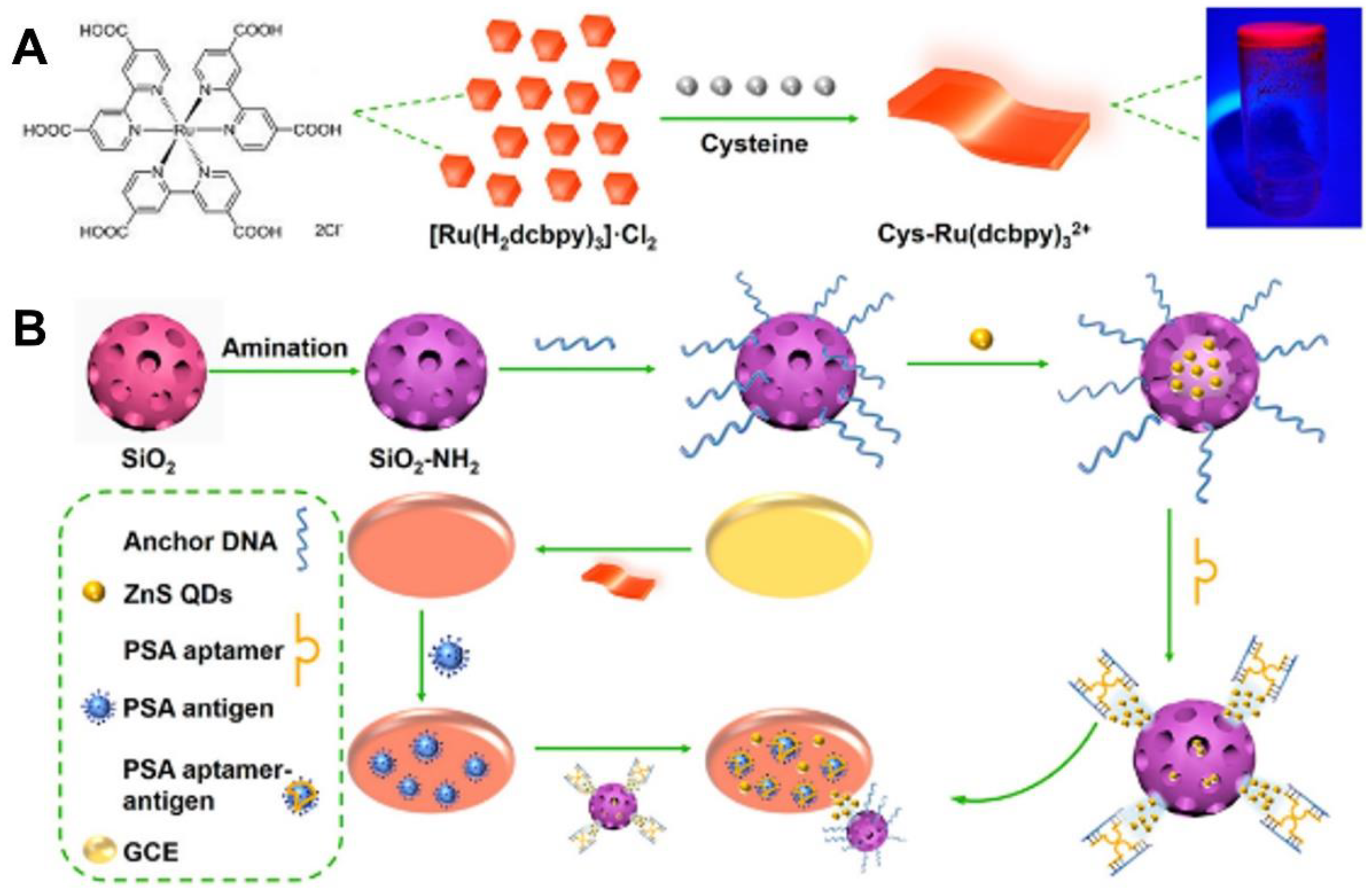 Chemosensors 11 00432 g006 Chemosensors 11 00432 g006