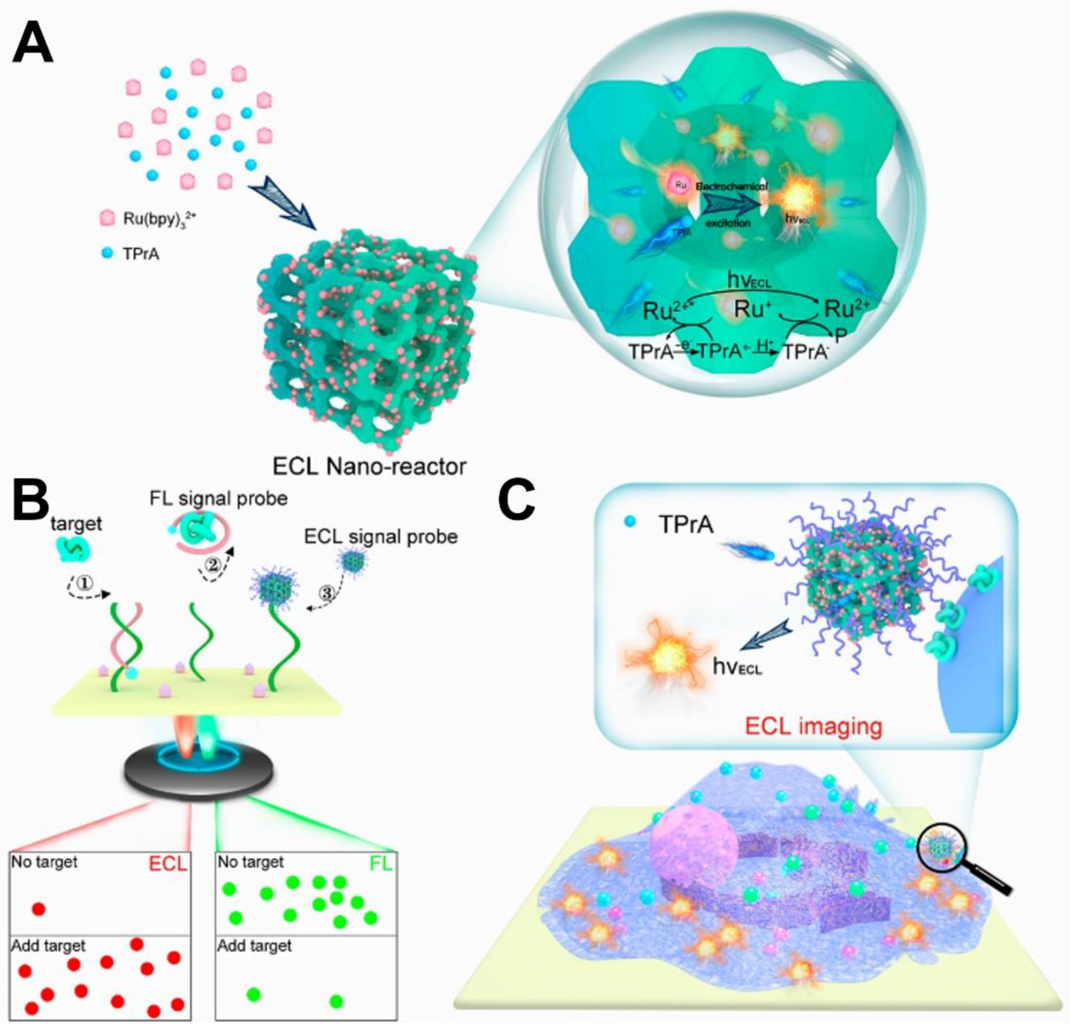Chemosensors 11 00432 g008 Chemosensors 11 00432 g008