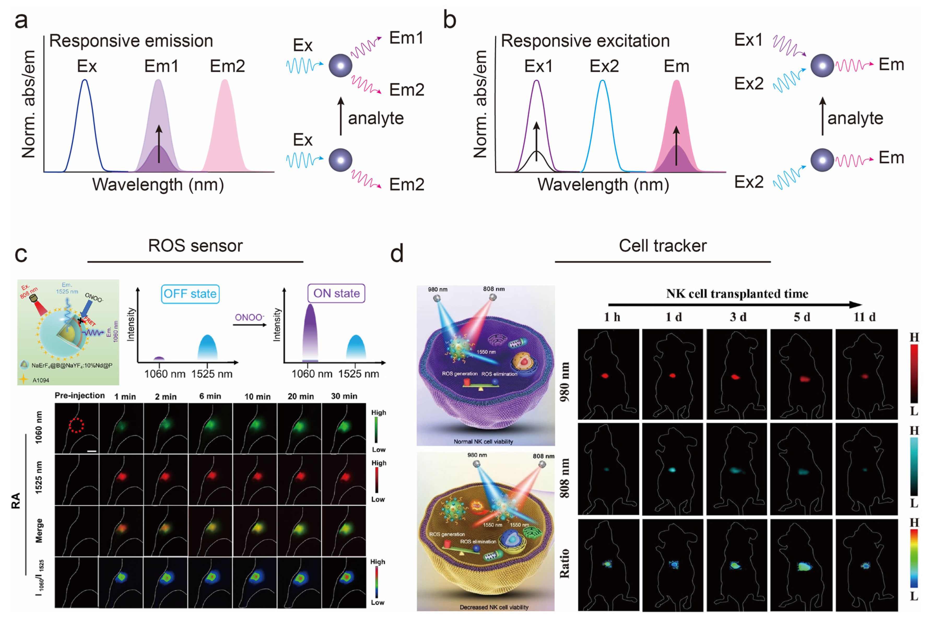 Chemosensors 11 00433 g003 Chemosensors 11 00433 g003