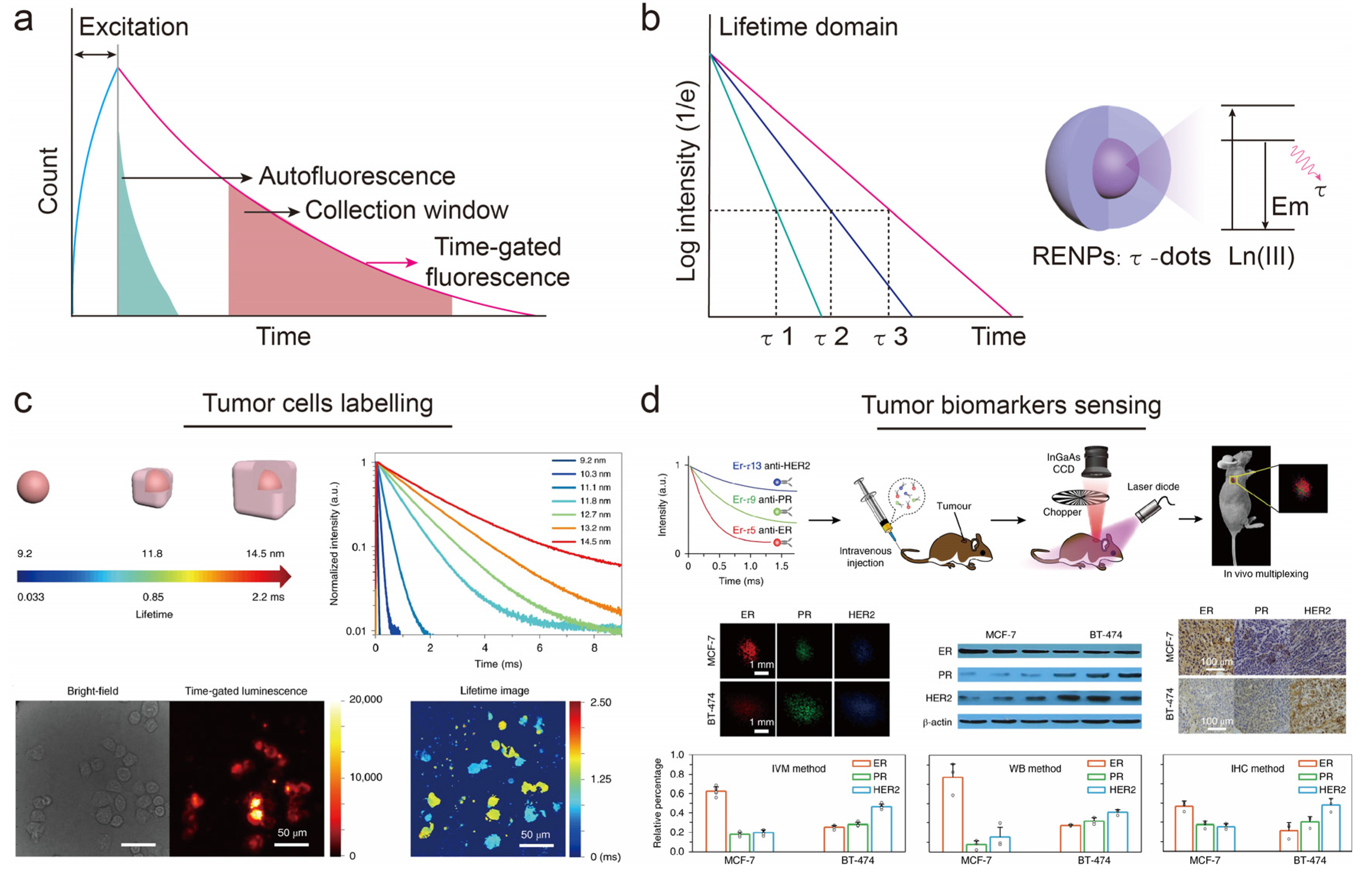 Chemosensors 11 00433 g005 Chemosensors 11 00433 g005
