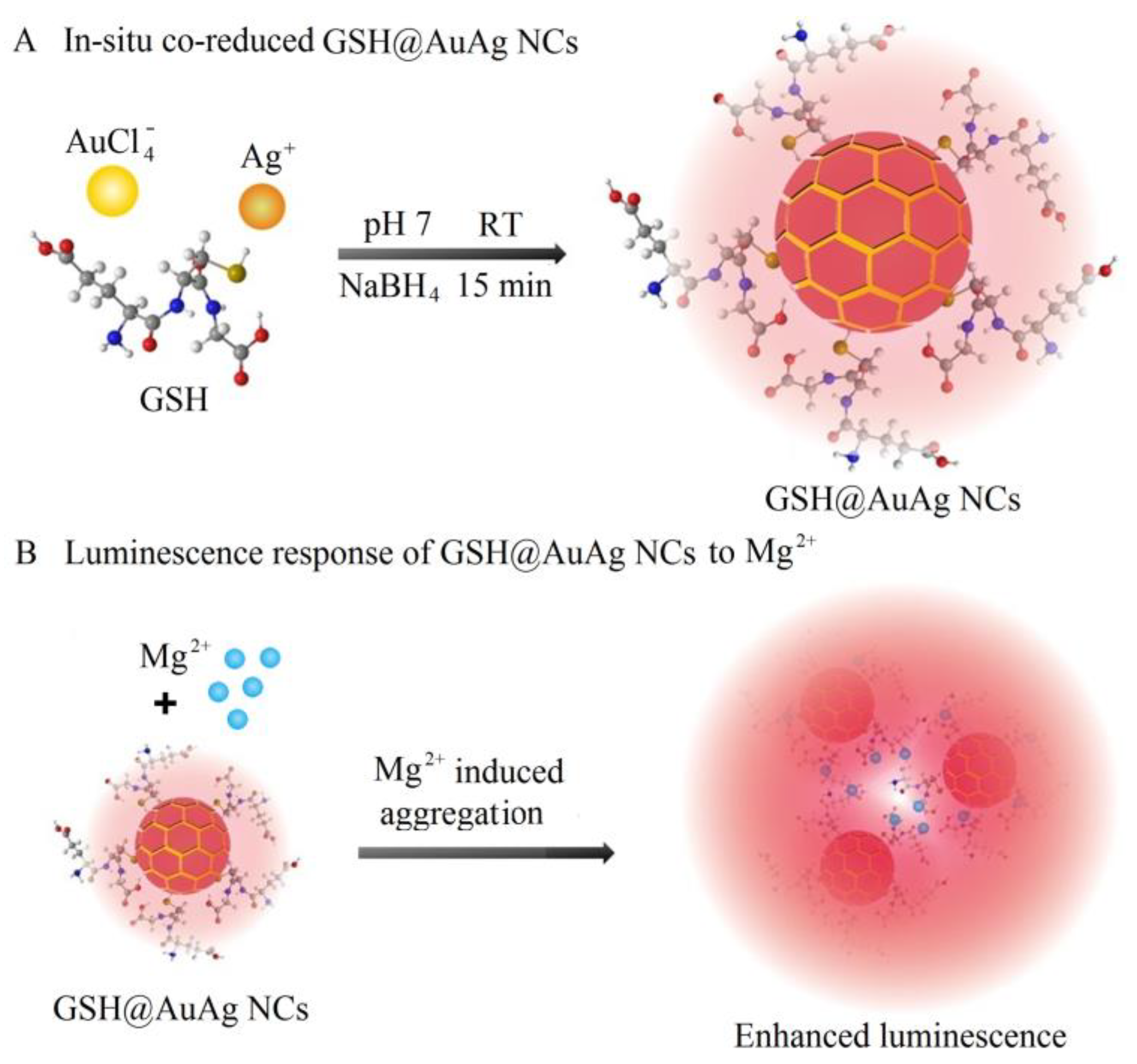 Chemosensors 11 00435 sch001 Chemosensors 11 00435 sch001