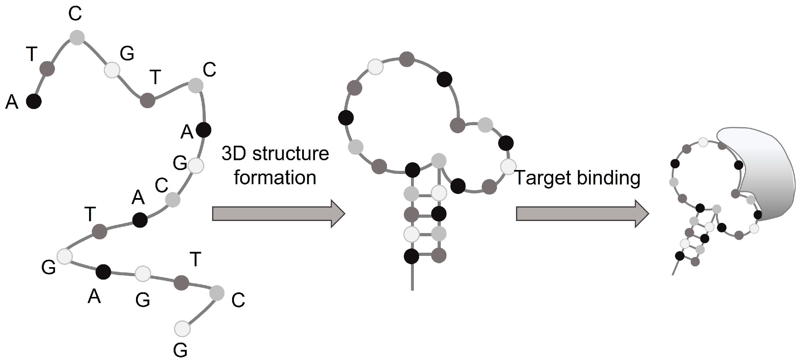 Chemosensors 11 00438 g001 Chemosensors 11 00438 g001