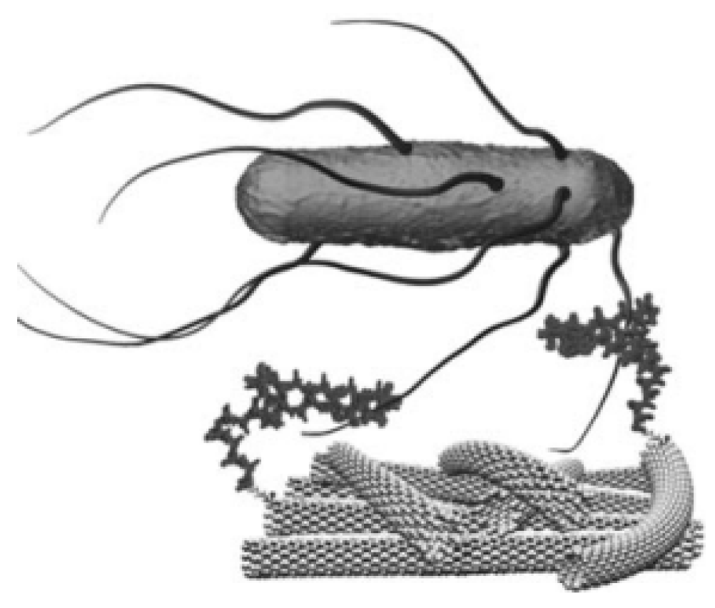 Chemosensors 11 00438 g006 Chemosensors 11 00438 g006