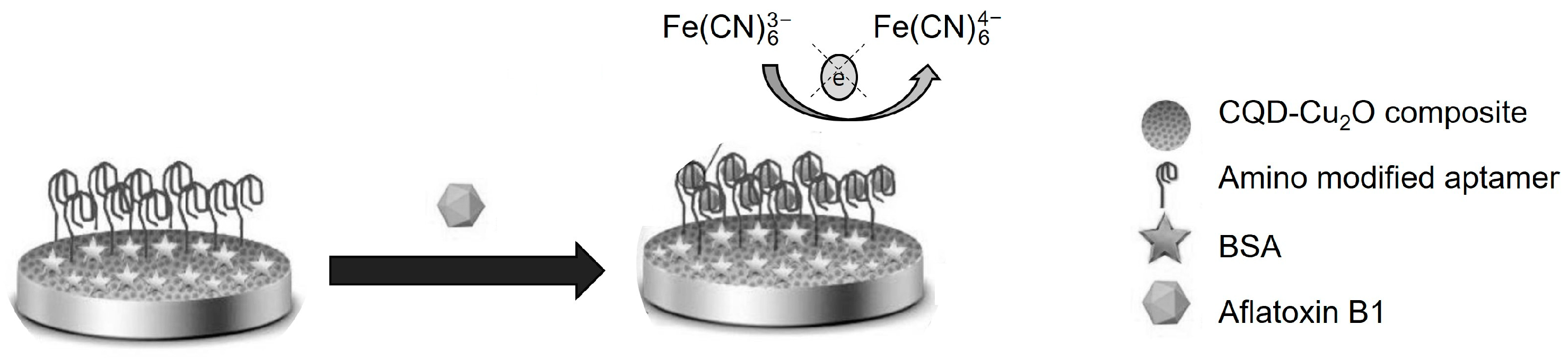 Chemosensors 11 00438 g010 Chemosensors 11 00438 g010