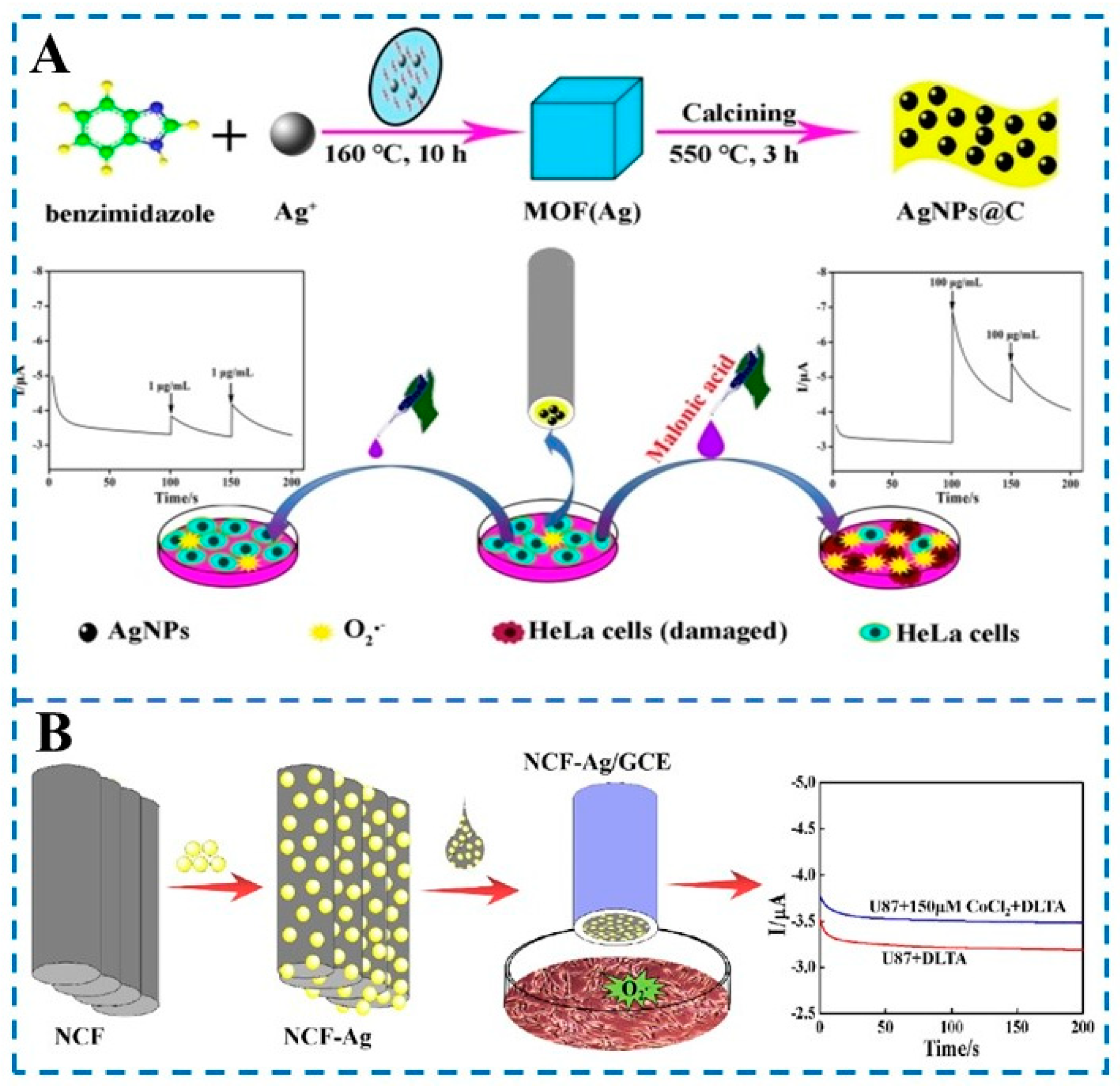 Chemosensors 11 00440 g003 Chemosensors 11 00440 g003