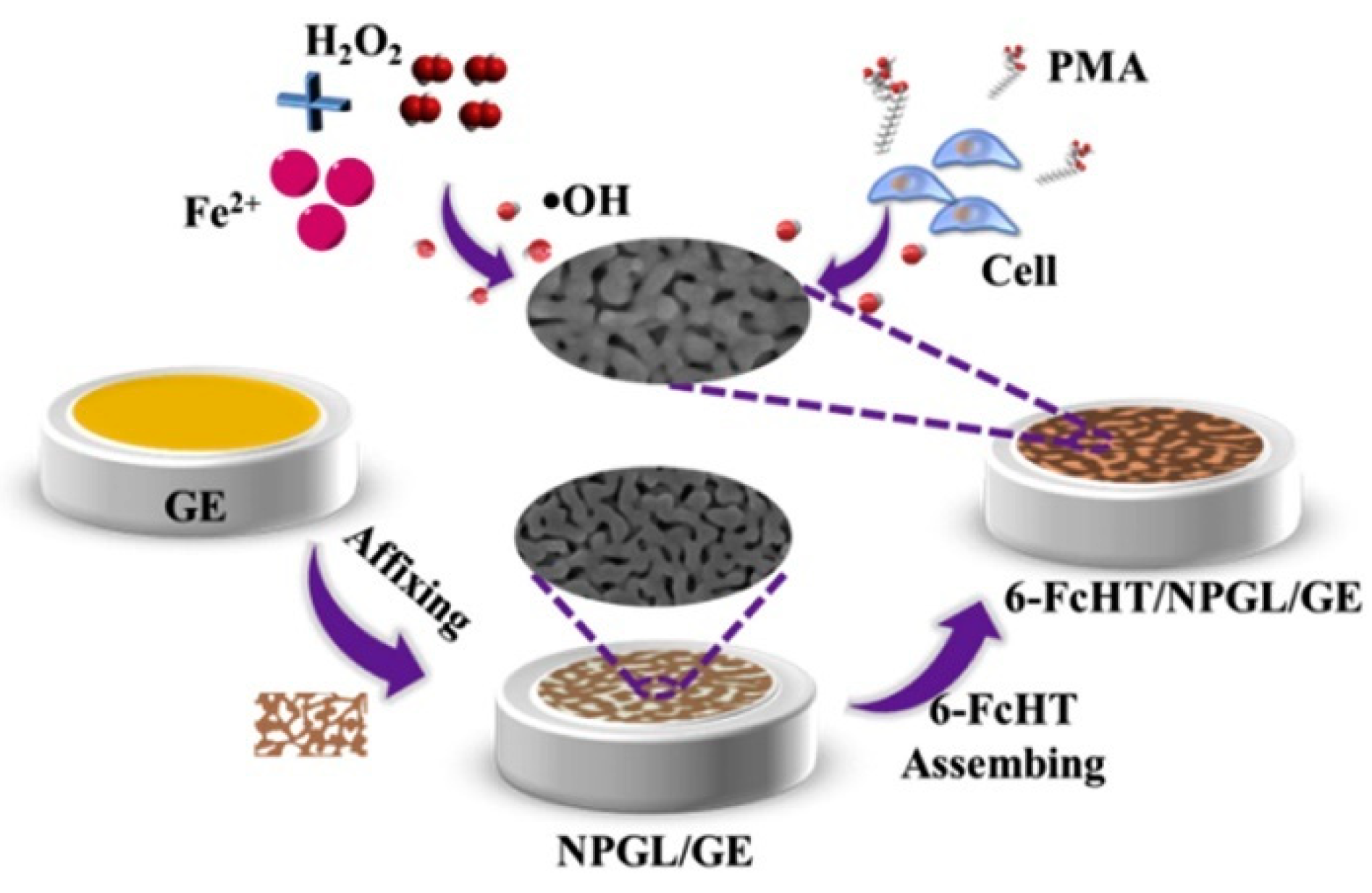 Chemosensors 11 00440 g005 Chemosensors 11 00440 g005