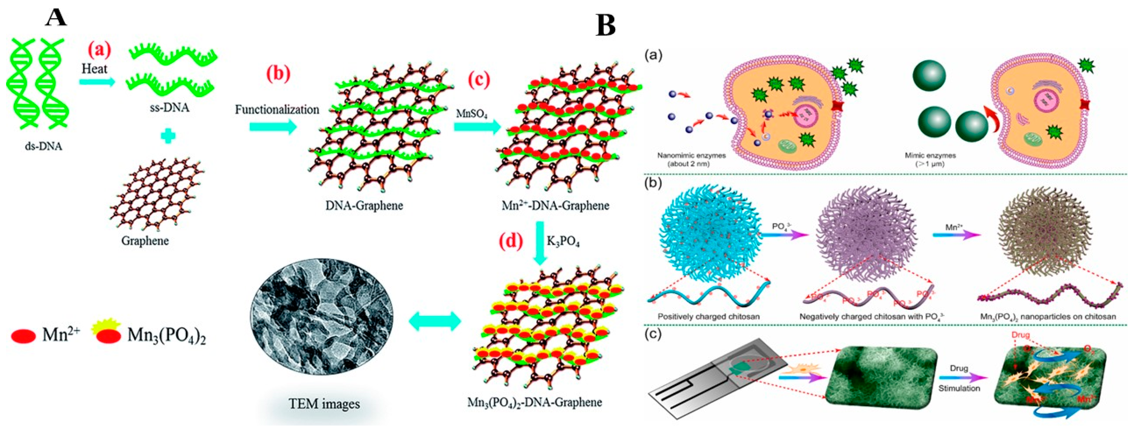 Chemosensors 11 00440 g008 Chemosensors 11 00440 g008