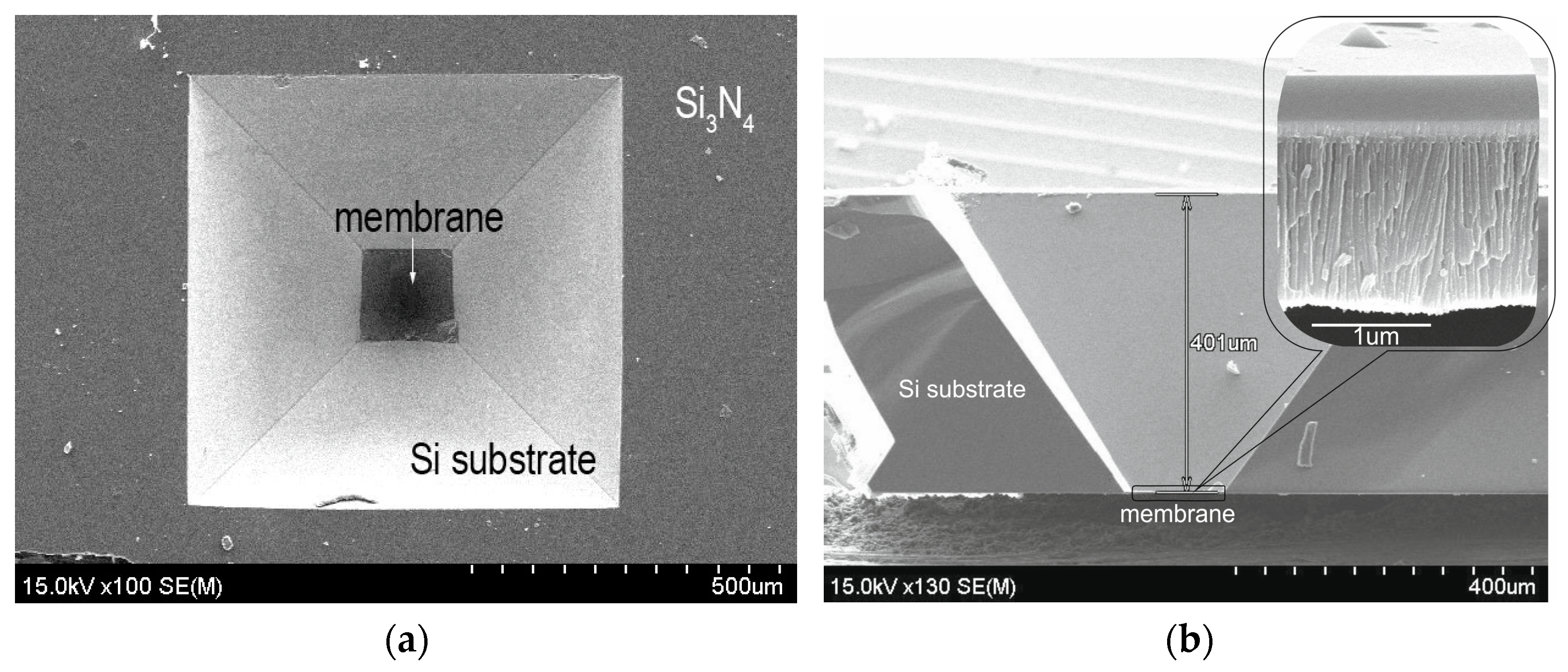 Chemosensors 11 00443 g004 Chemosensors 11 00443 g004