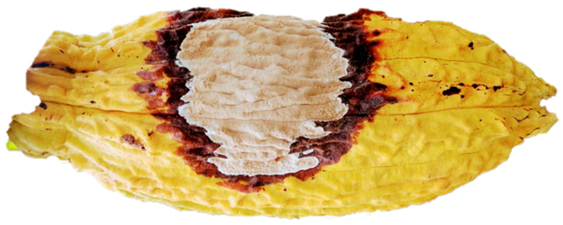 Chemosensors 11 00447 g001 Chemosensors 11 00447 g001