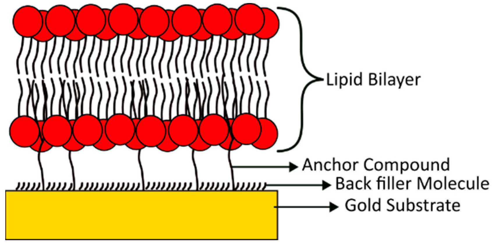 Chemosensors 11 00450 g001 Chemosensors 11 00450 g001