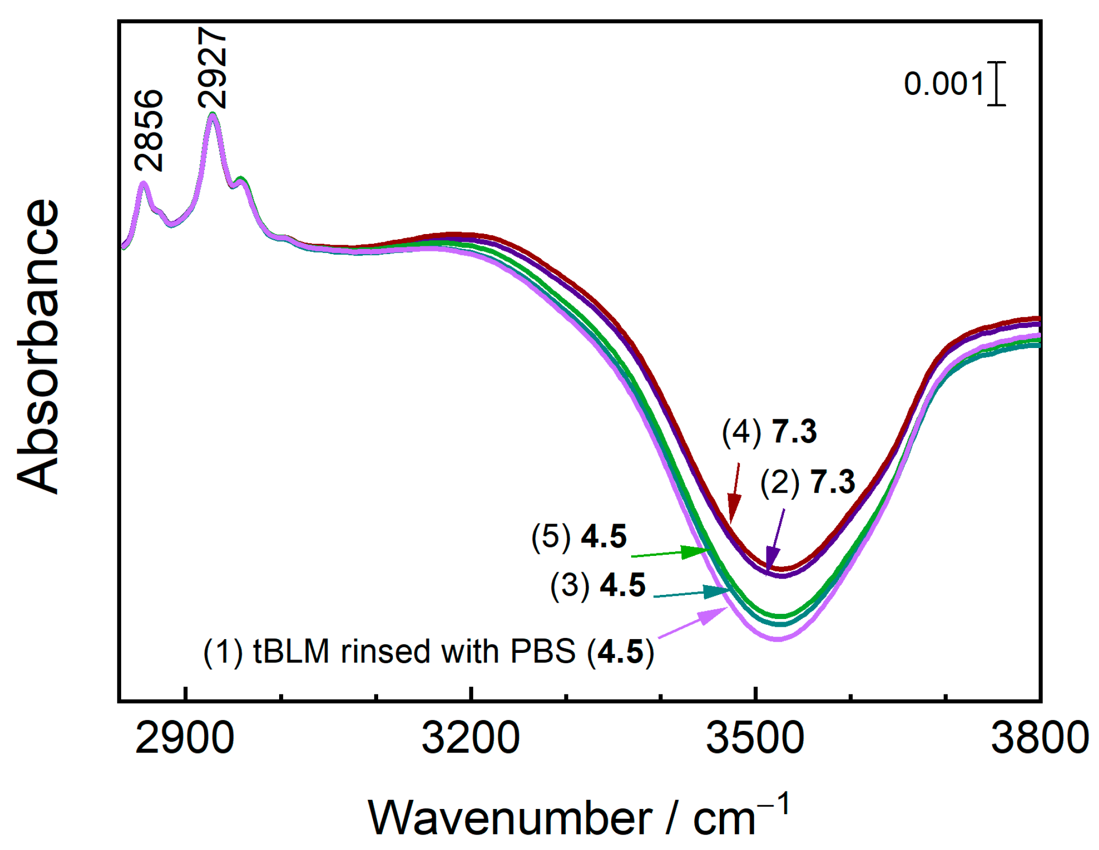 Chemosensors 11 00450 g007 Chemosensors 11 00450 g007