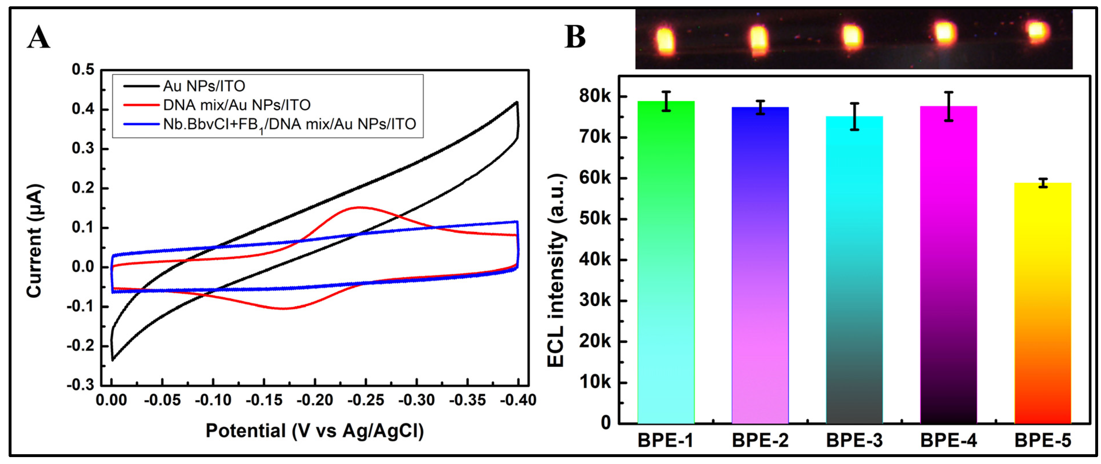 Chemosensors 11 00451 g003