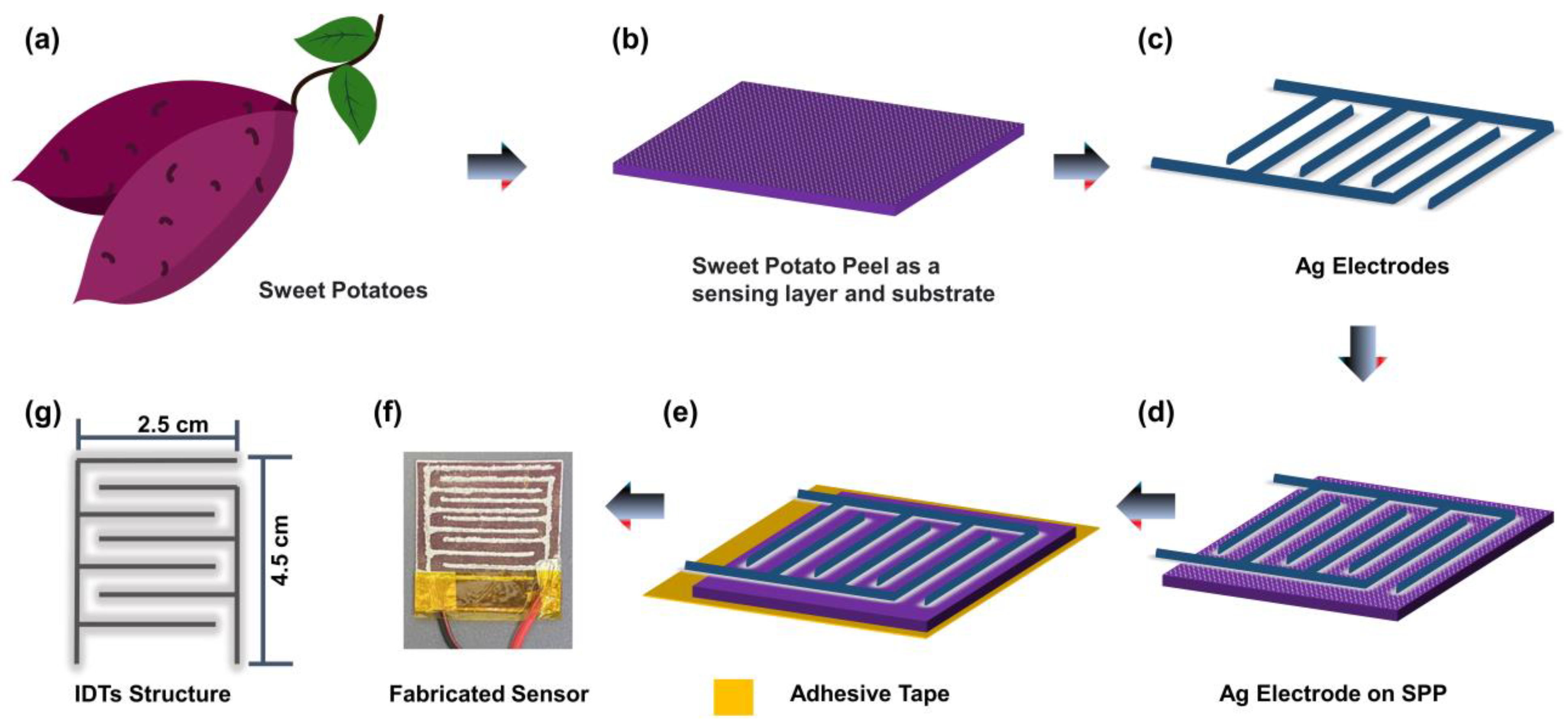 Chemosensors 11 00457 g001