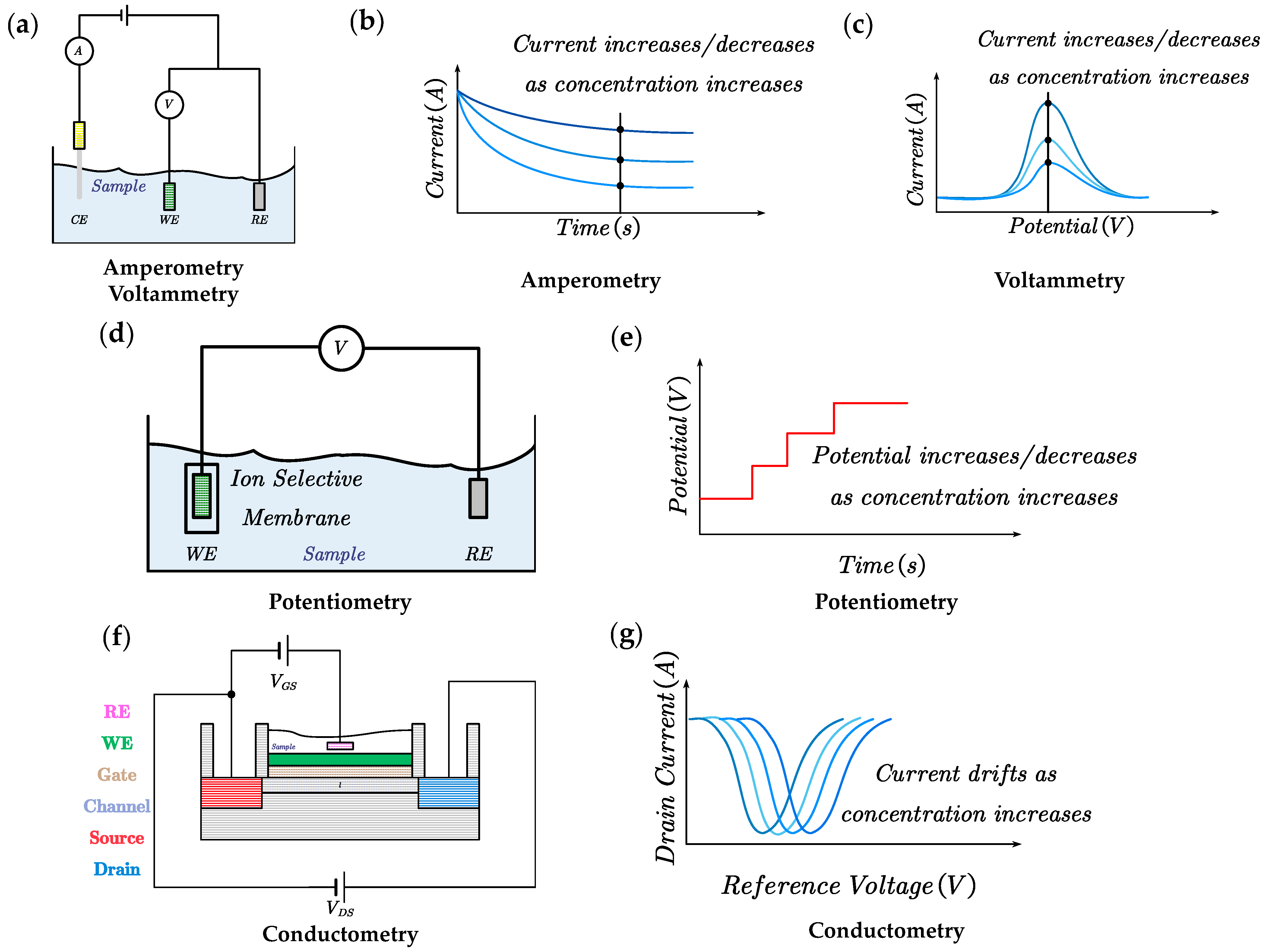 Chemosensors 11 00459 g002 Chemosensors 11 00459 g002