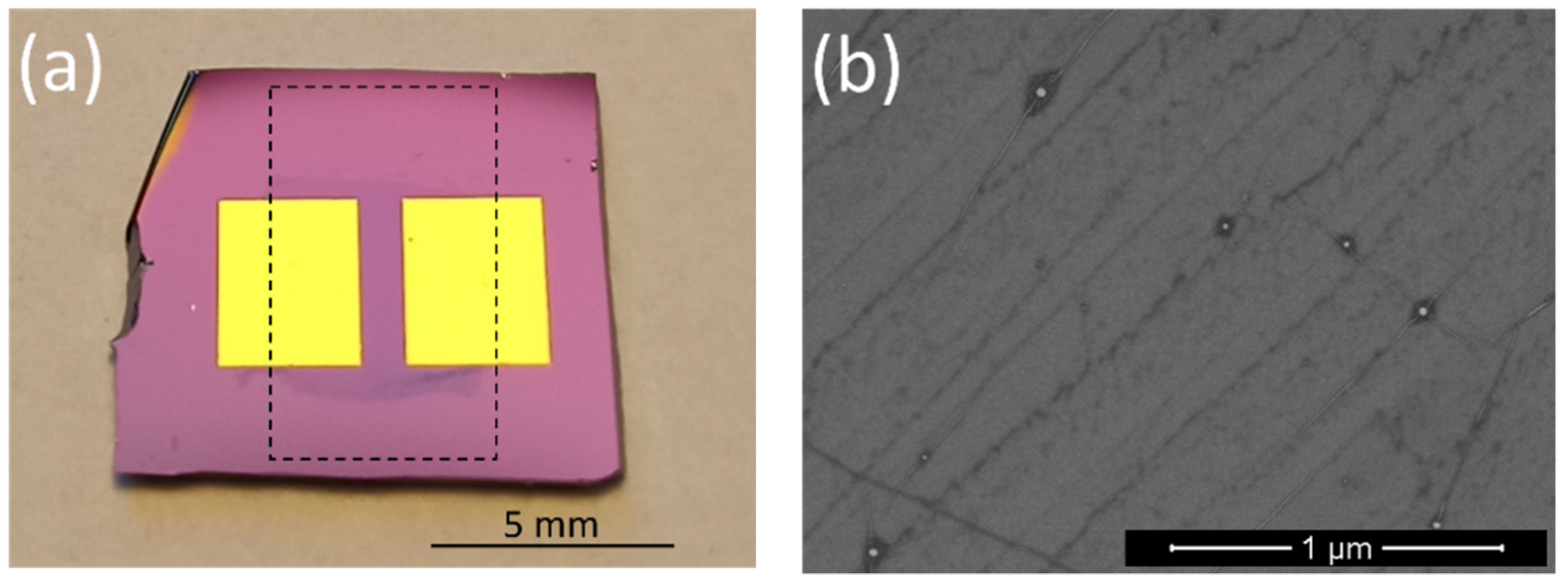 Chemosensors 11 00460 g001