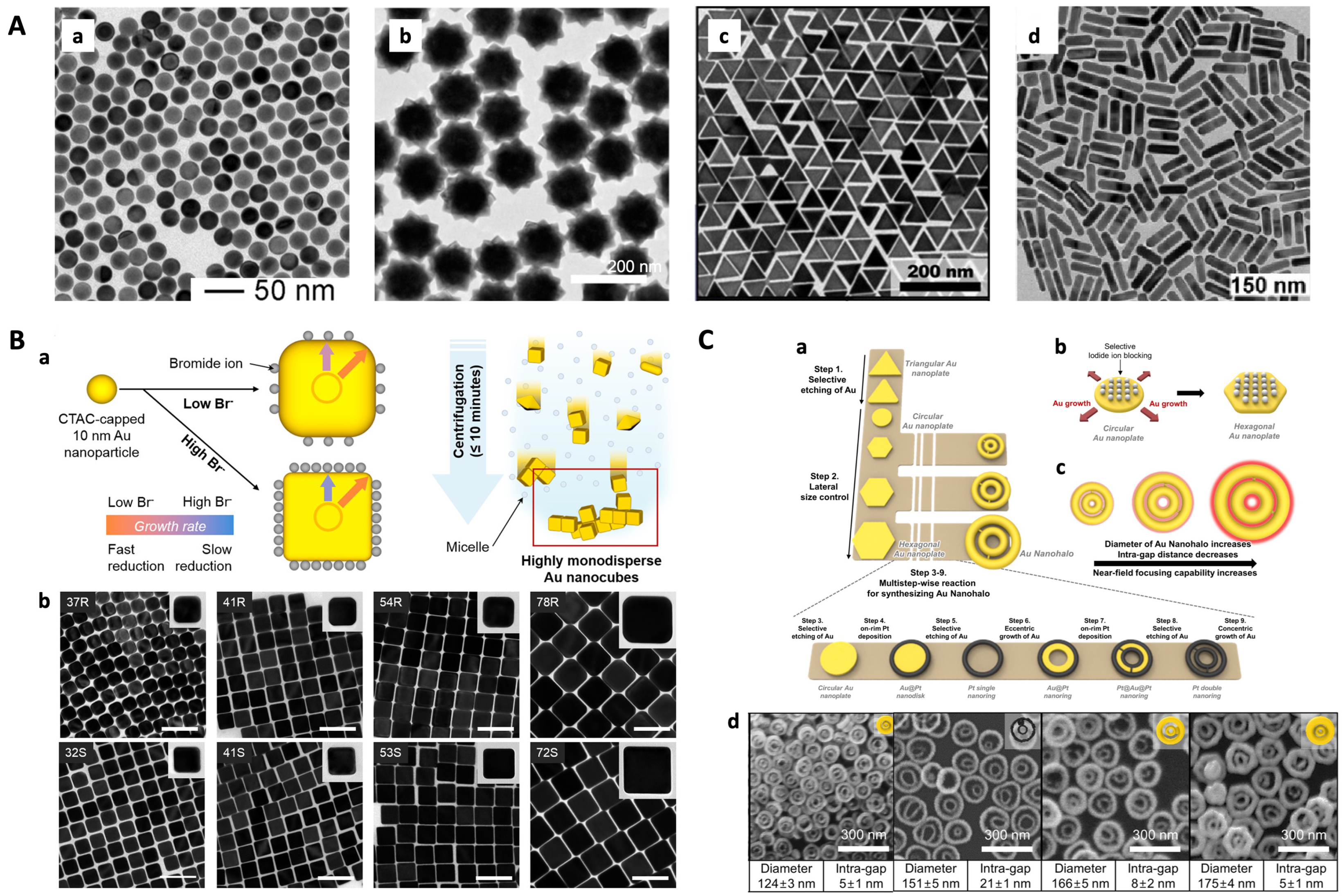 Chemosensors 11 00461 g002