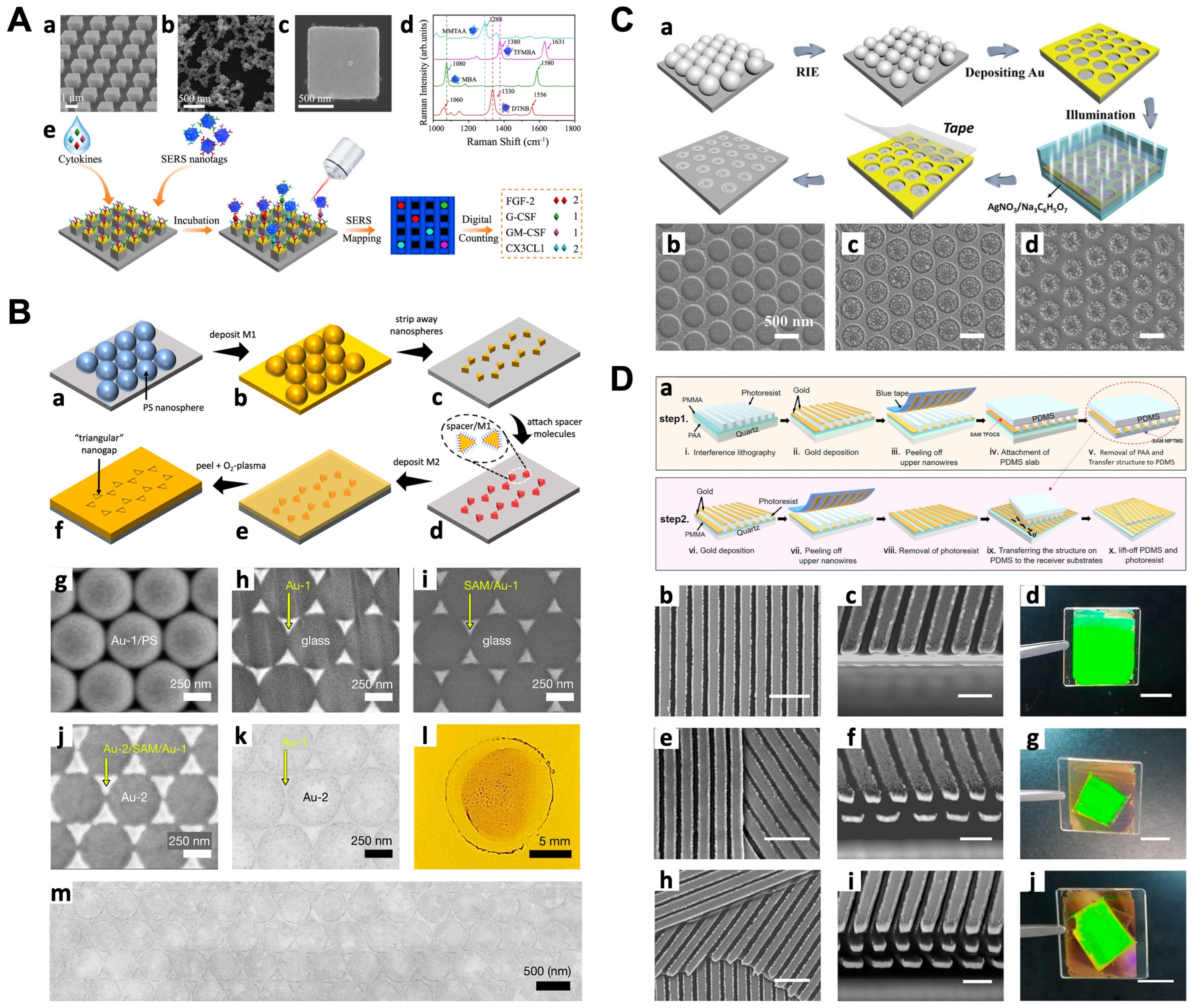 Chemosensors 11 00461 g005