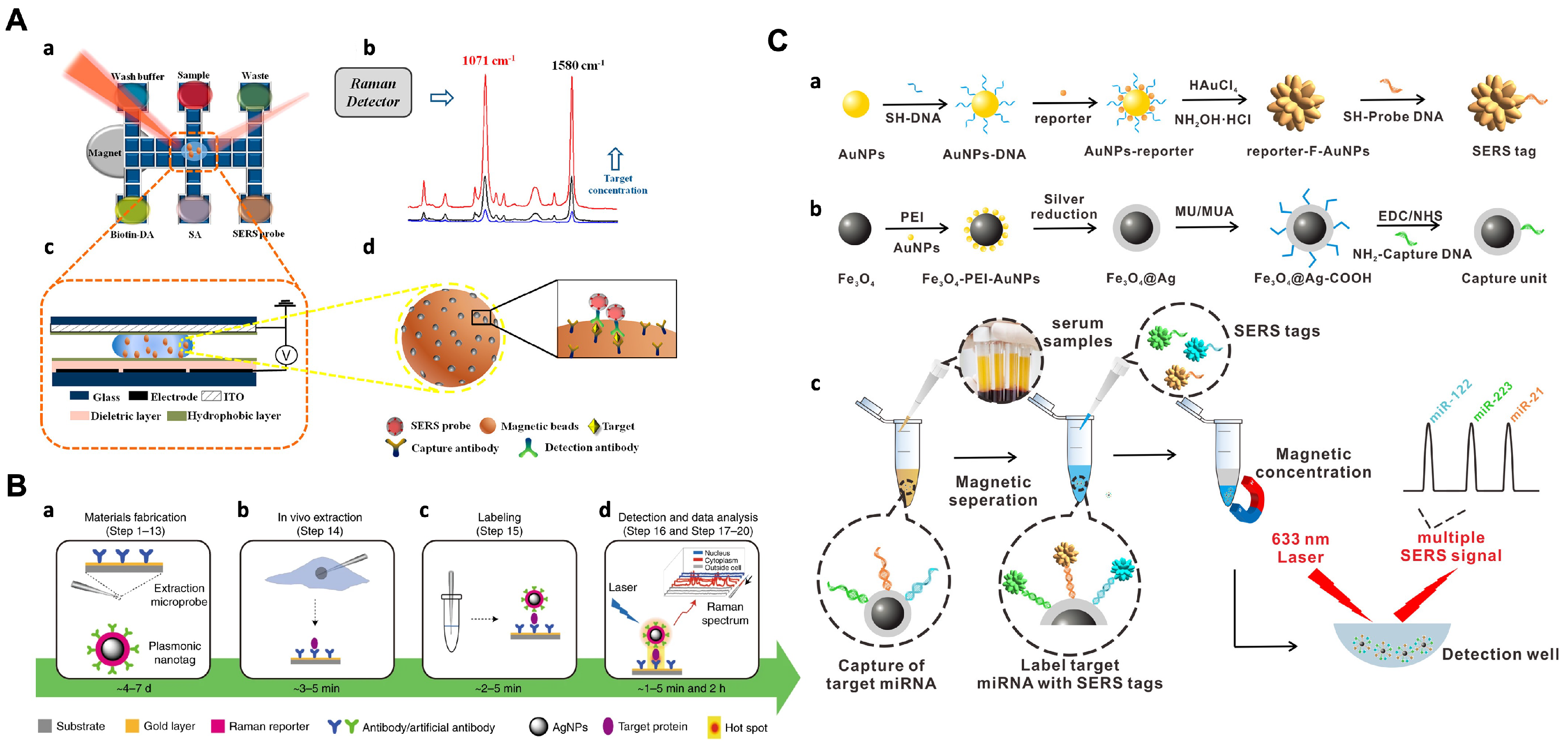 Chemosensors 11 00461 g006