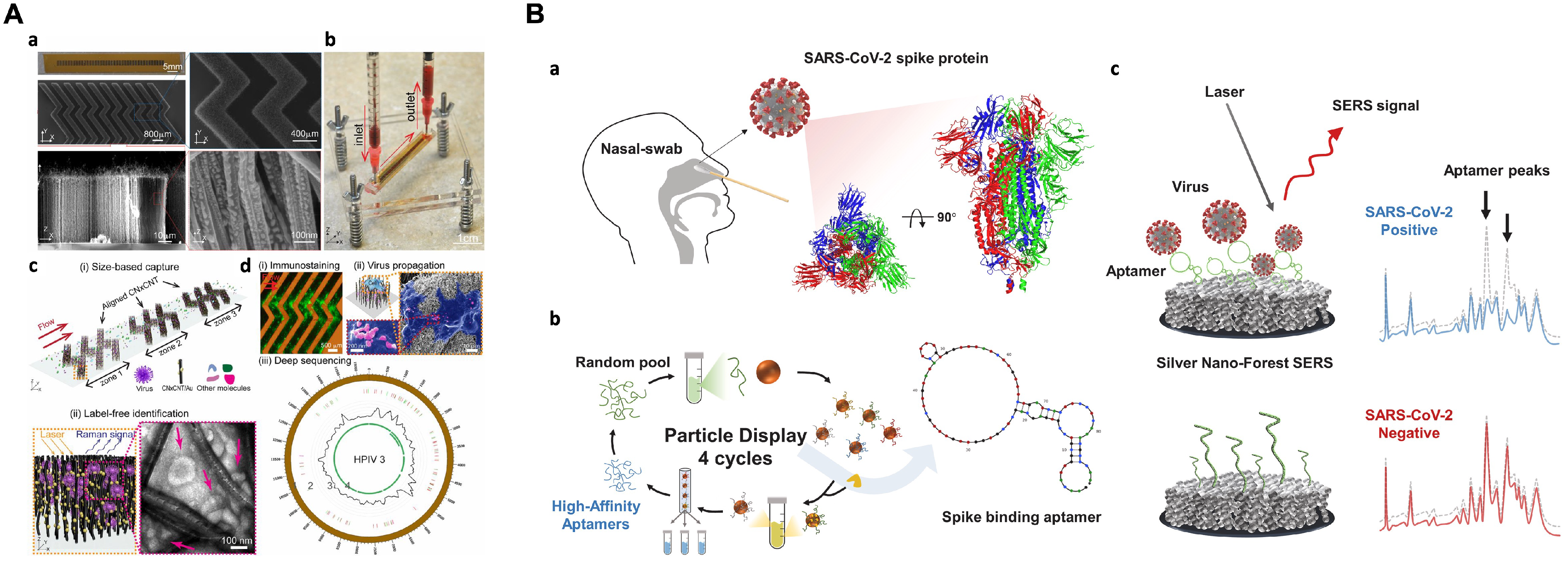 Chemosensors 11 00461 g007